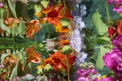 Andrea Bonfils - Giardino sommerso 9039, Fotografia 2018, Stampato Dopo