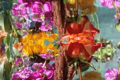 Andrea Bonfils - Submerged Garden 9065, Photography 2018, Printed After