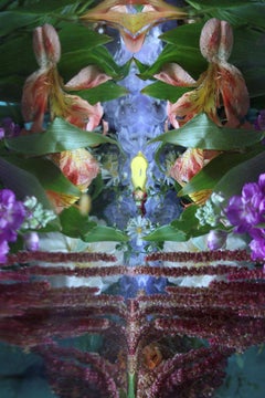 Andrea Bonfils - Submerged Garden 9323, Photography 2018, Printed After