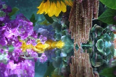 Andrea Bonfils - Submerged Garden 9421, Photography 2018, Printed After