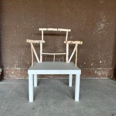 Andrea Branzi Animali domestici armchair fauteuil 1985 Clio Calvi Edition 2005