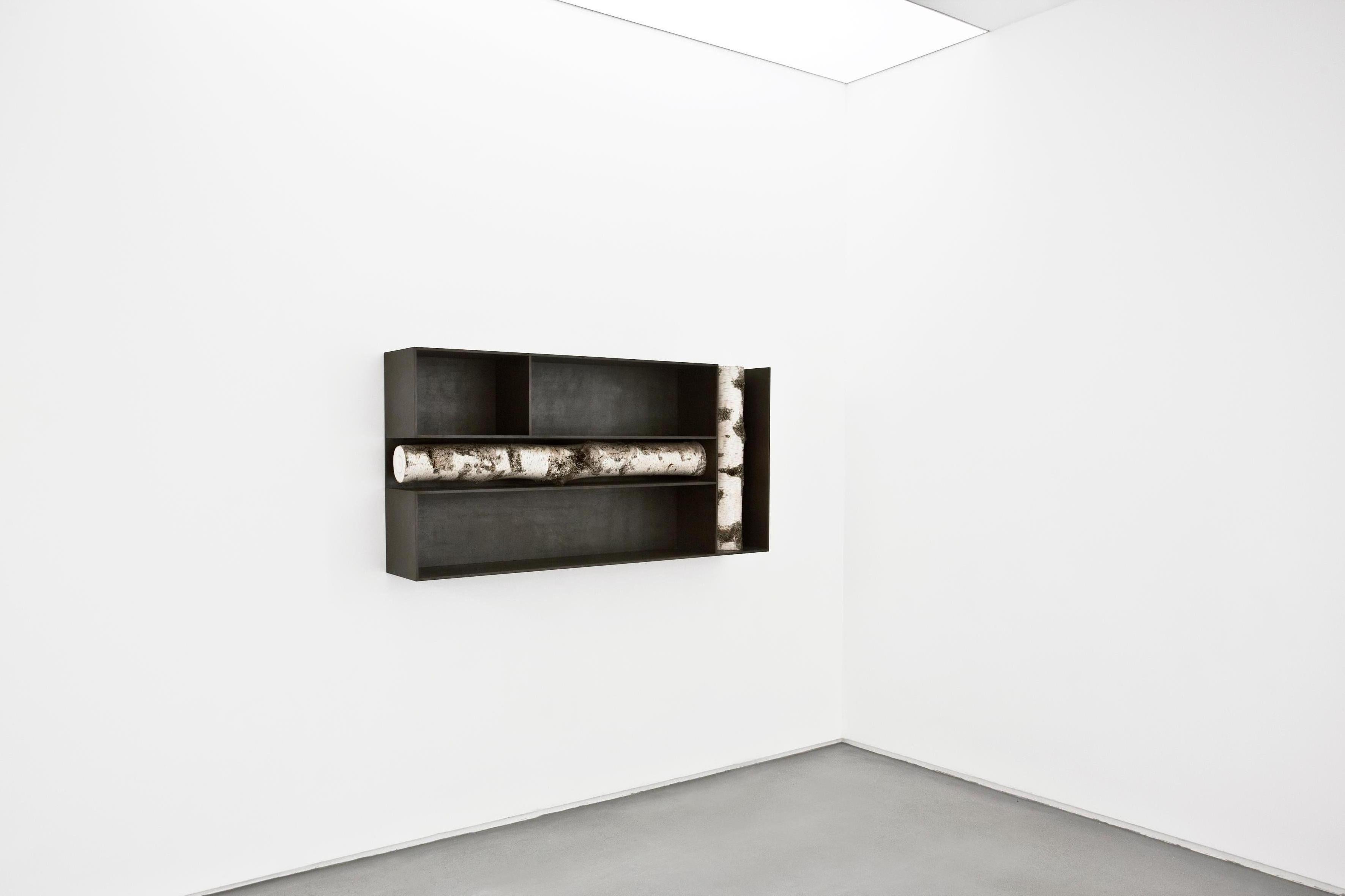 Andrea Branzi, Tree 3, Cabinet, Bookshelf, Birch Wood, Patinated Aluminum, 2010 In New Condition In New York, NY