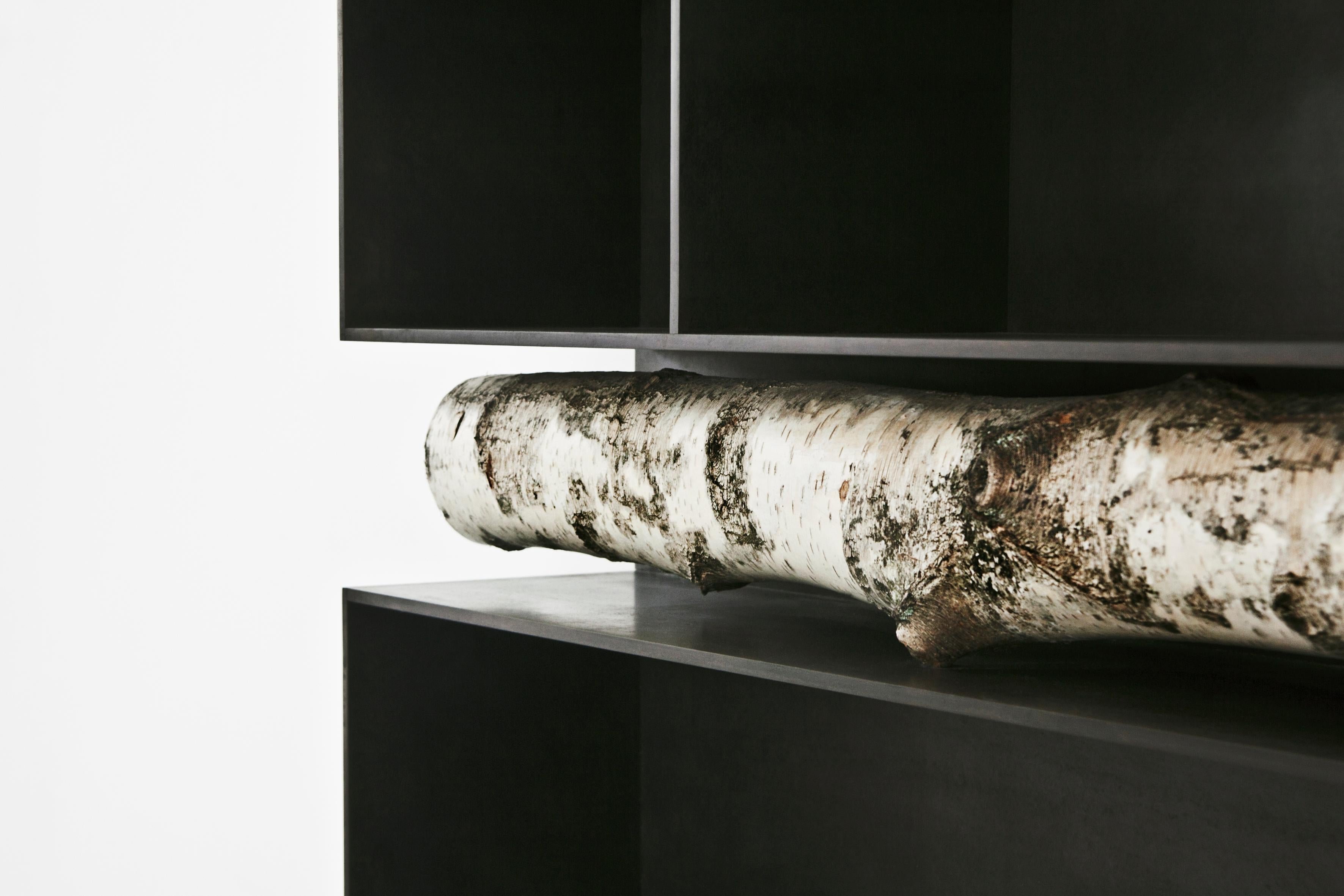 Italian Andrea Branzi, Tree 3, Cabinet, Bookshelf, Birch Wood, Patinated Aluminum, 2010