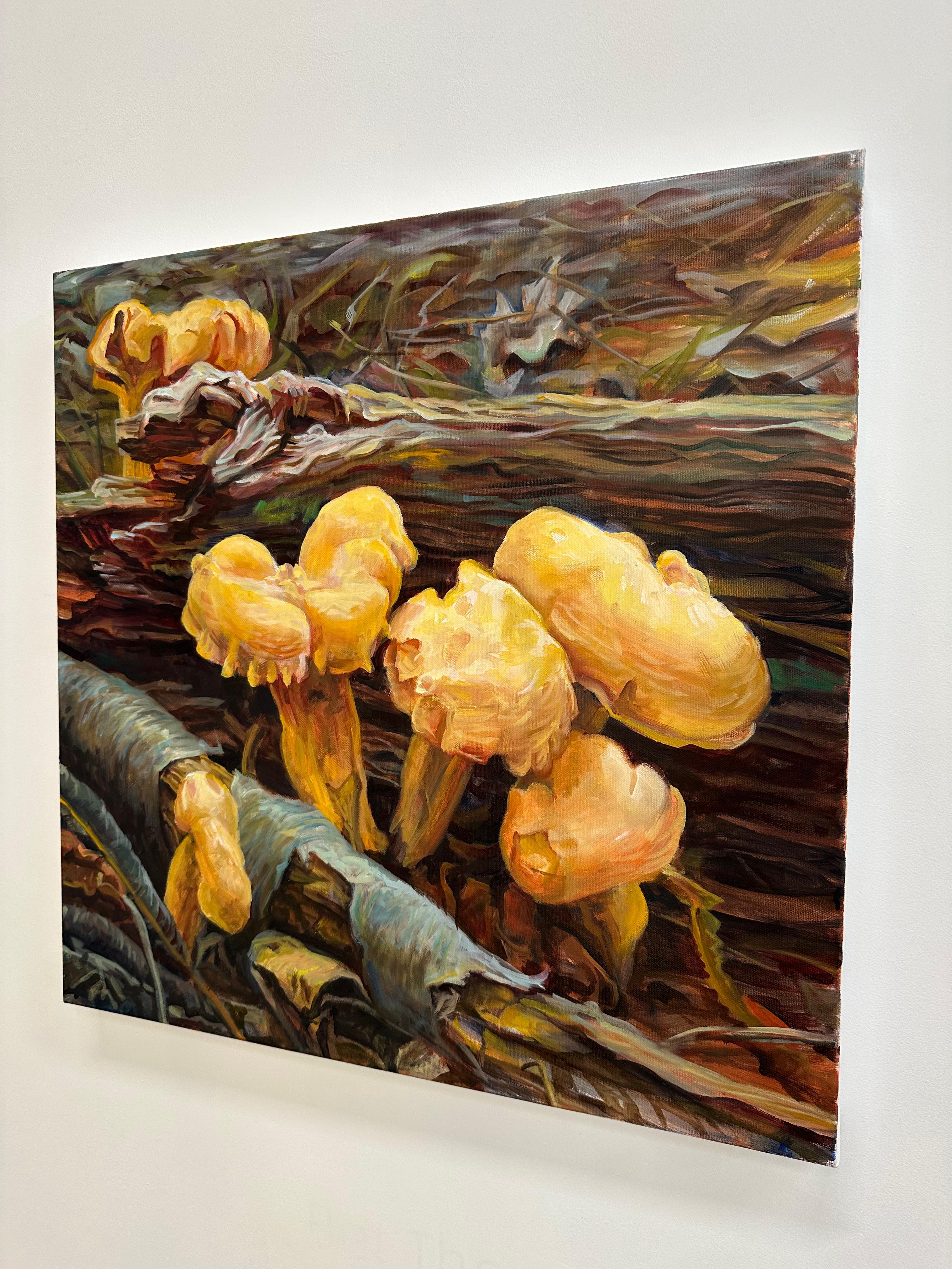 Chanterelles, Mushroom Fungi Still Life, Golden Yellow, Orange, Ochre, Brown For Sale 9