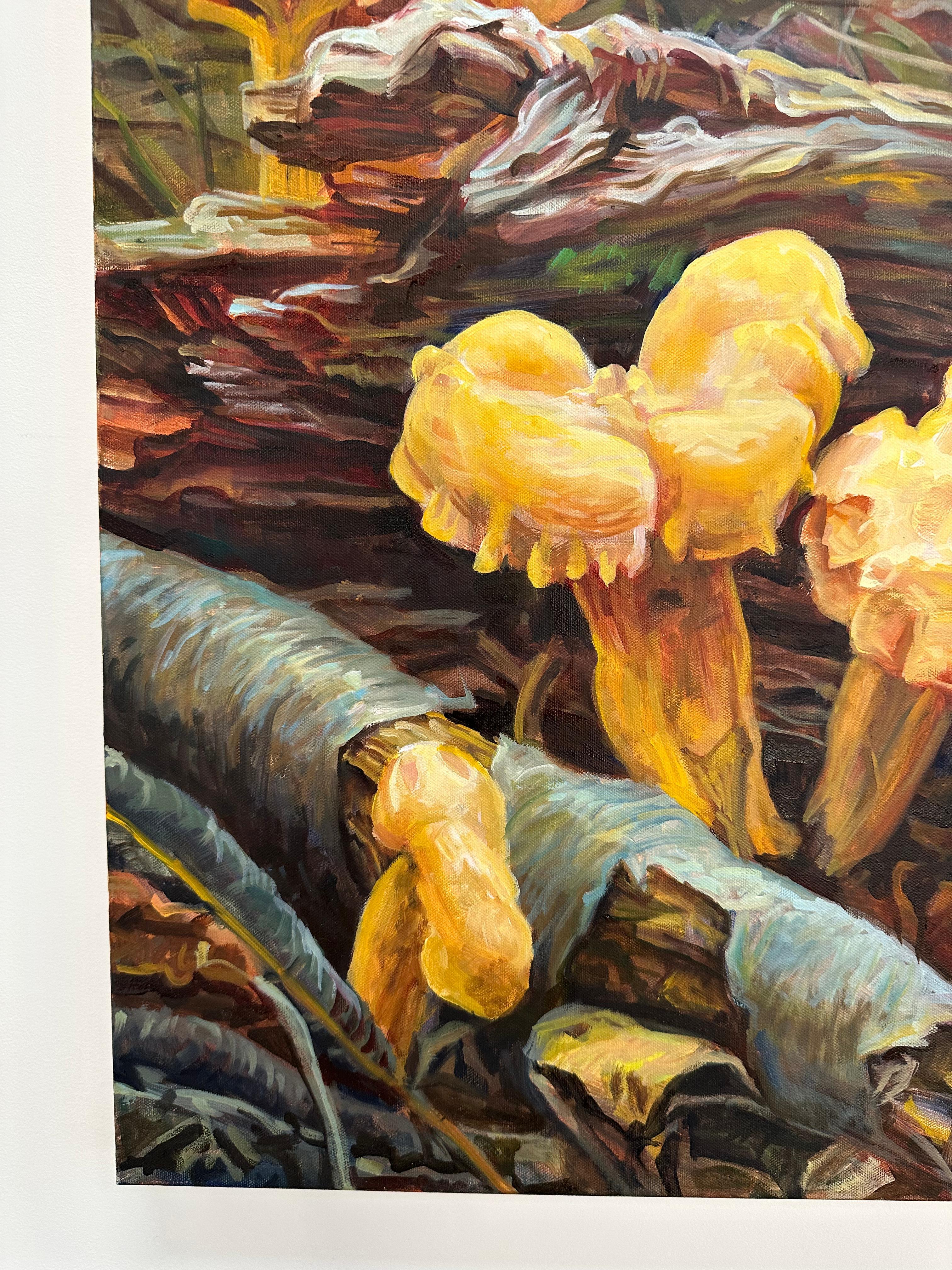 A chanterelle mushroom, also known as a 