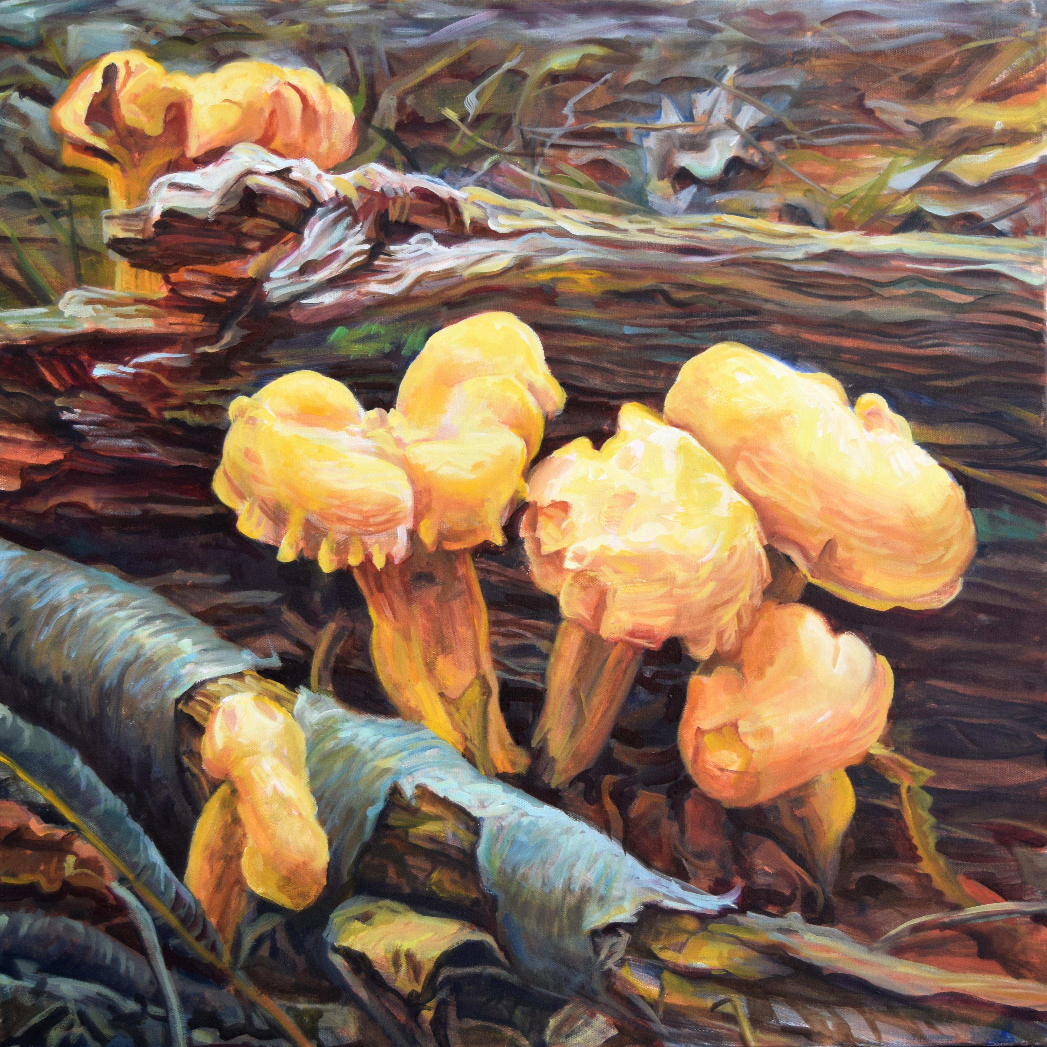 Andrea Kantrowitz Still-Life Painting - Chanterelles, Mushroom Fungi Still Life, Golden Yellow, Orange, Ochre, Brown
