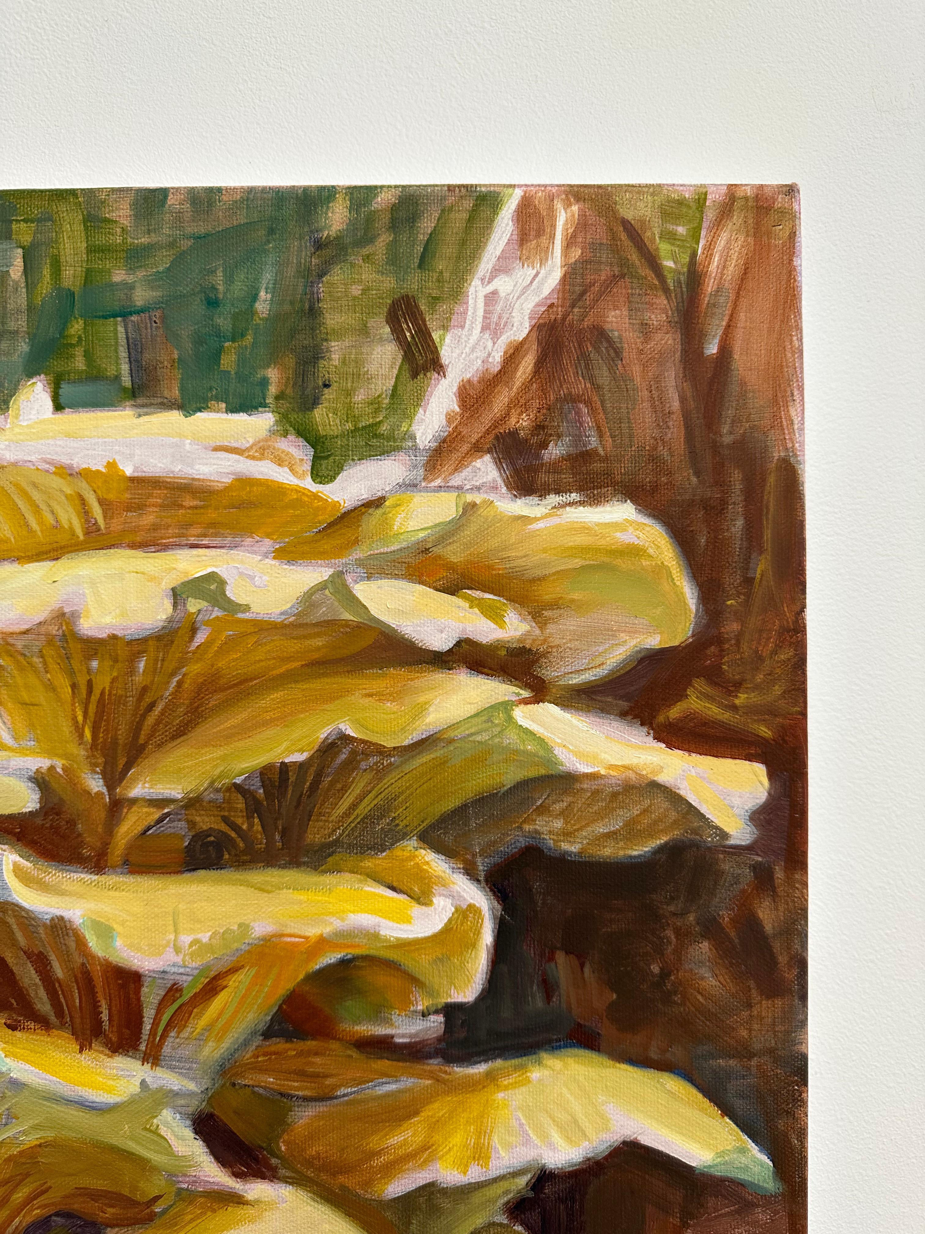Study for Golden Oysters Two, Mushroom Fungi, Golden Yellow, Ochre, Brown For Sale 6