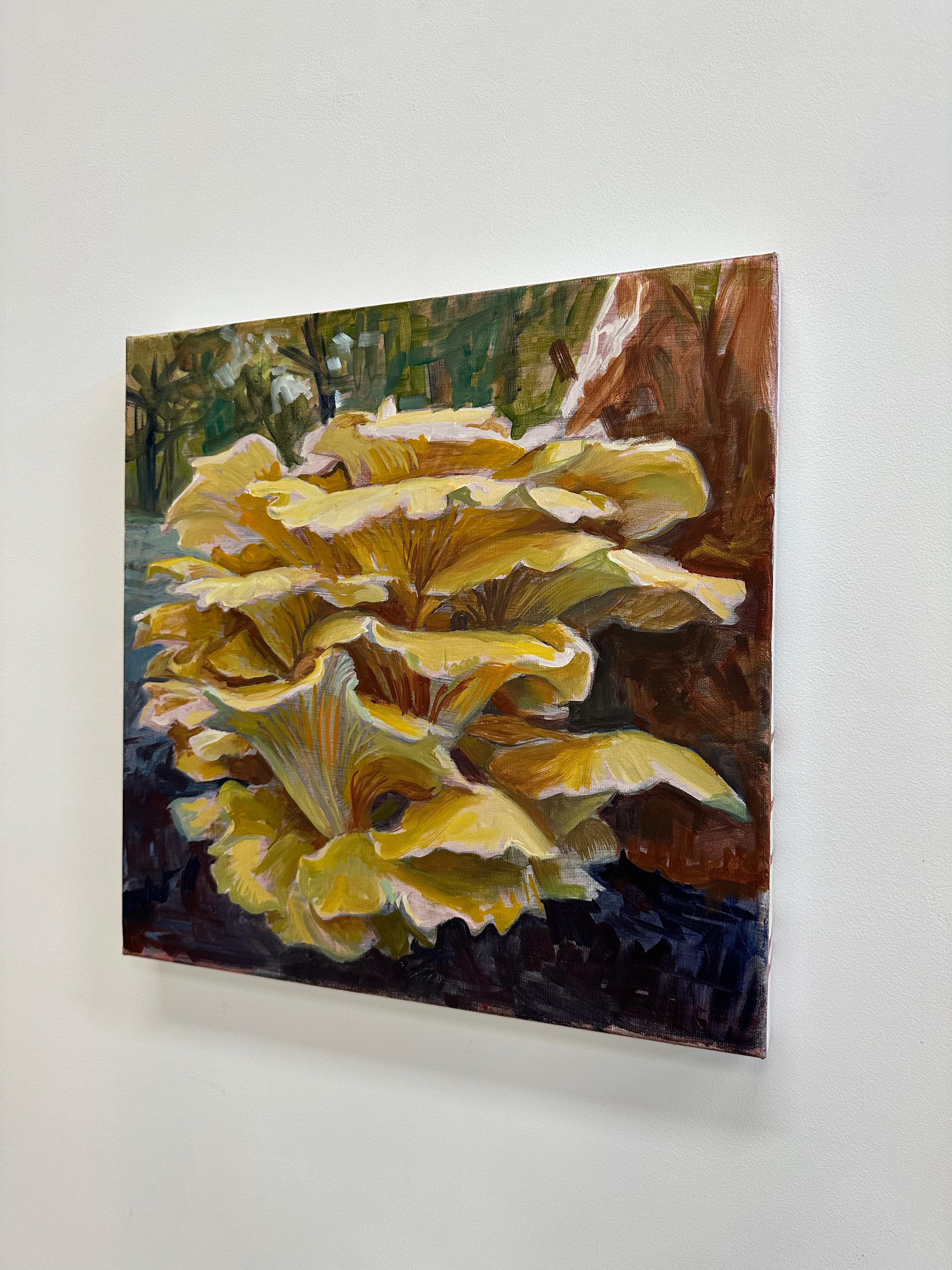 Study for Golden Oysters Two, Mushroom Fungi, Golden Yellow, Ochre, Brown For Sale 8