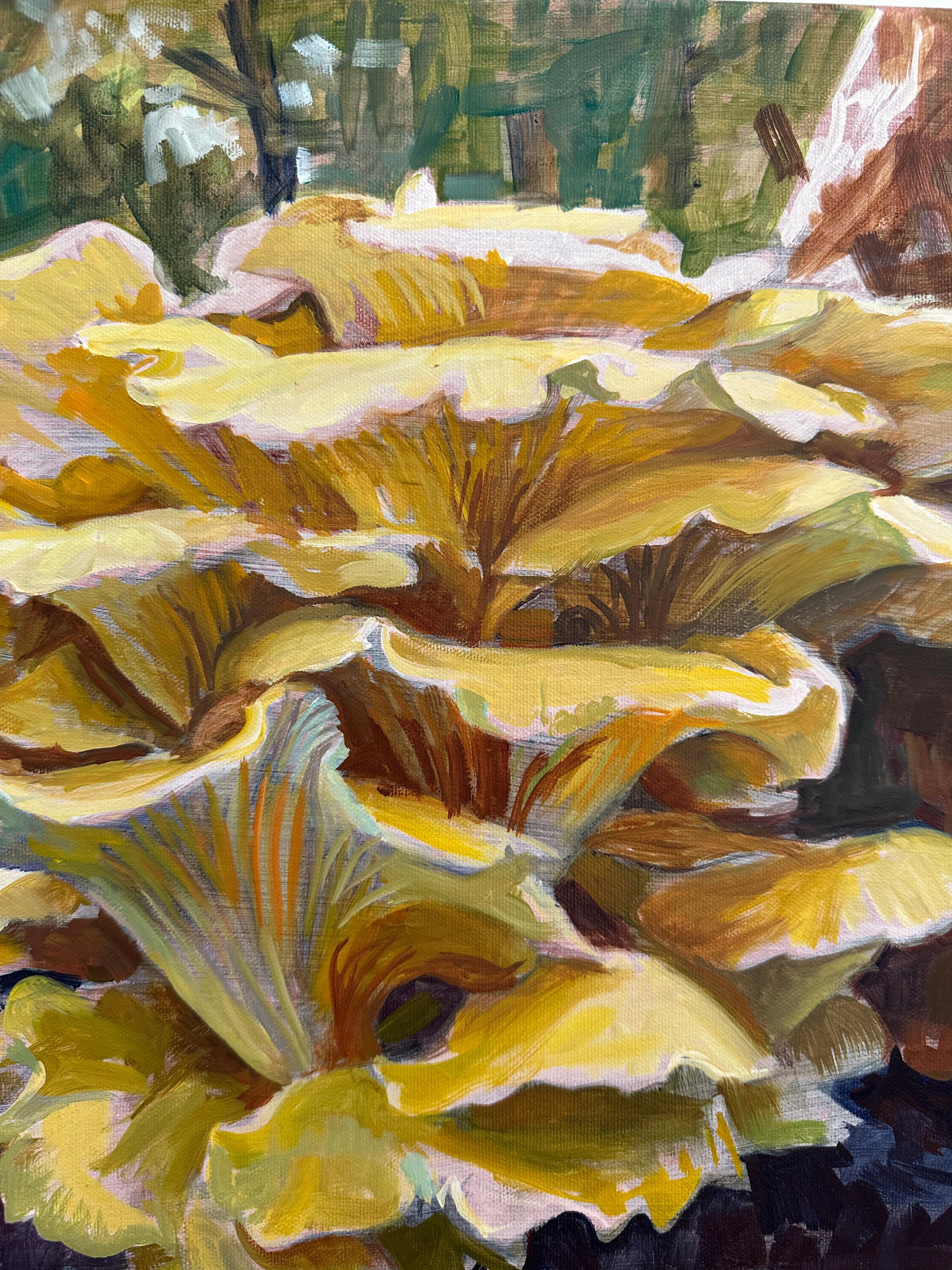 Study for Golden Oysters Two, Mushroom Fungi, Golden Yellow, Ochre, Brown For Sale 2