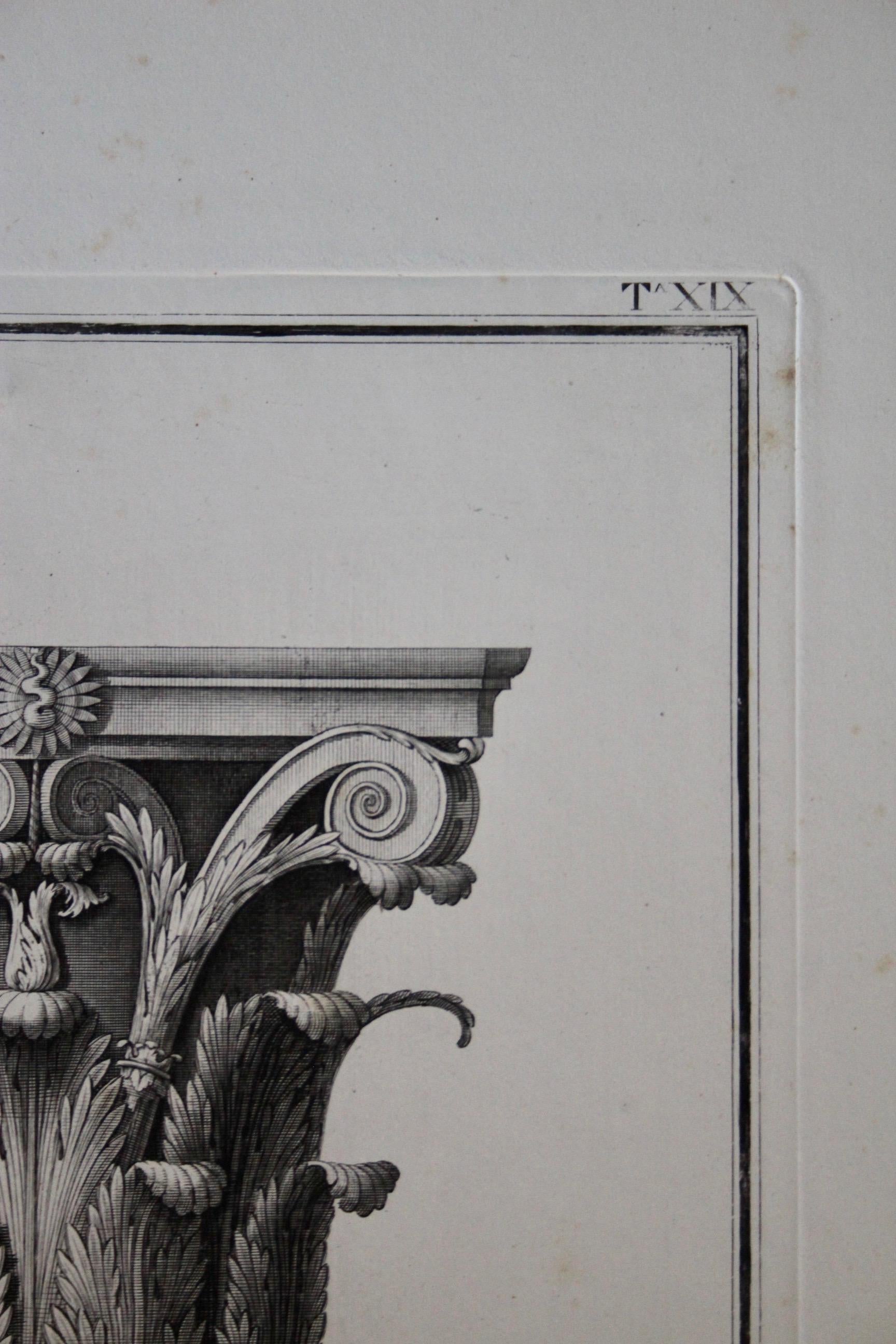 Plexiglass Andrea Palladio engraving