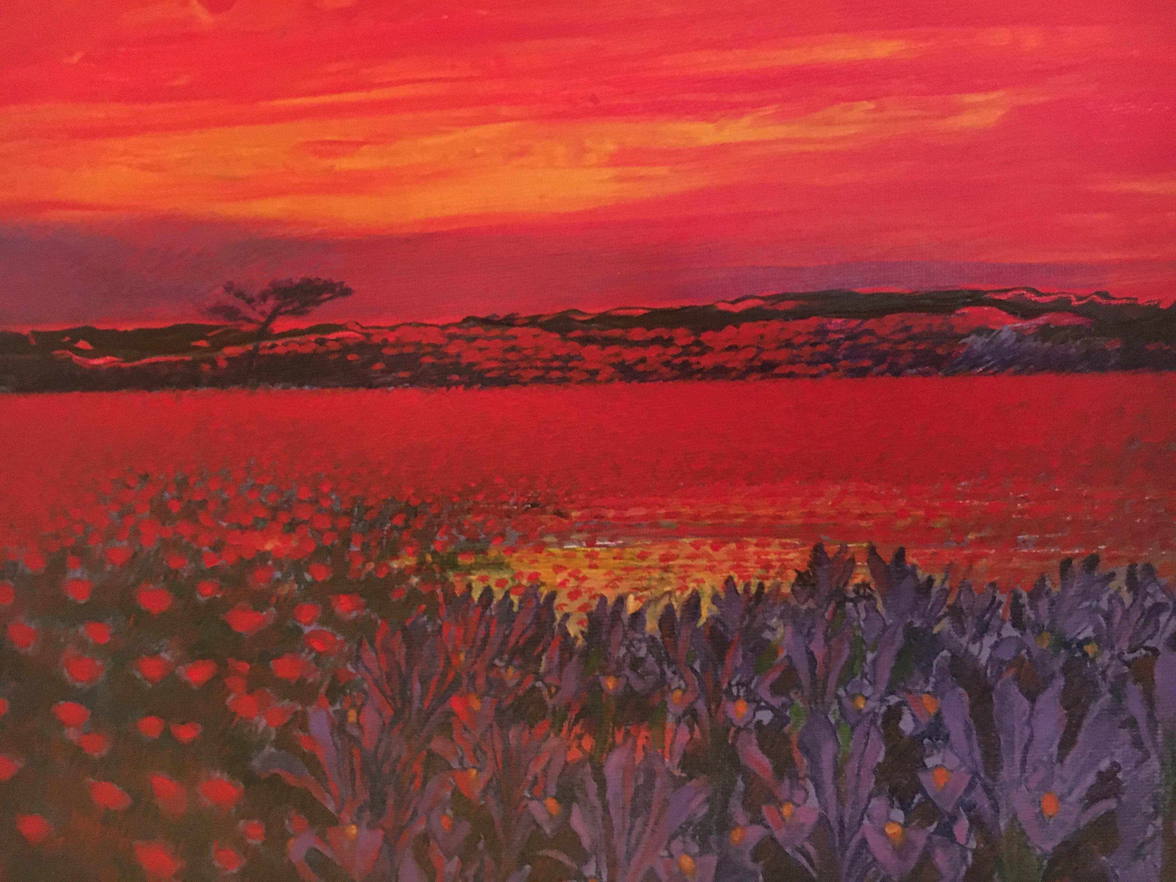 Andrea Razzaauti Painting of Irish Poppy Field For Sale 1