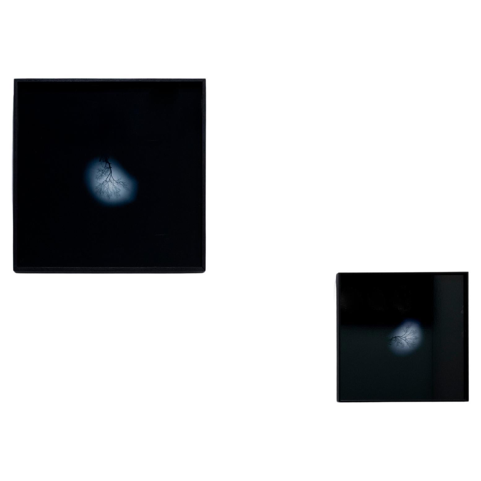 Dieses Werk mit dem Titel Reverse of the Sky (2002) stammt von dem Künstler Andrea Santarlasci. Es besteht aus zwei Fotografien, identischen Bildern eines Baumzweigs, die in zwei verschiedenen Größen präsentiert werden. Das Baummotiv ist ein