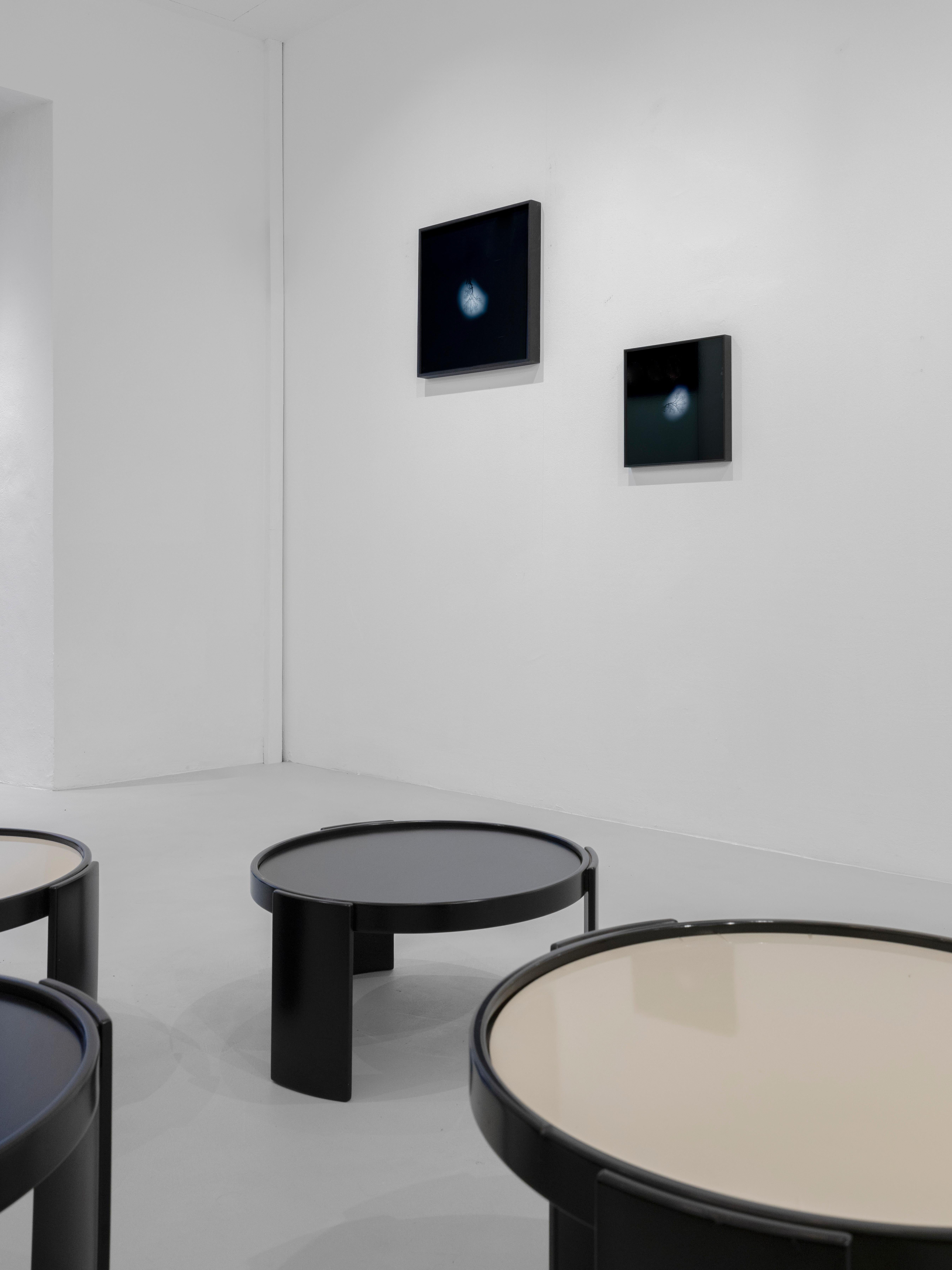 Andrea Santarlasci Umkehrung des Himmels 2002 (Sonstiges) im Angebot