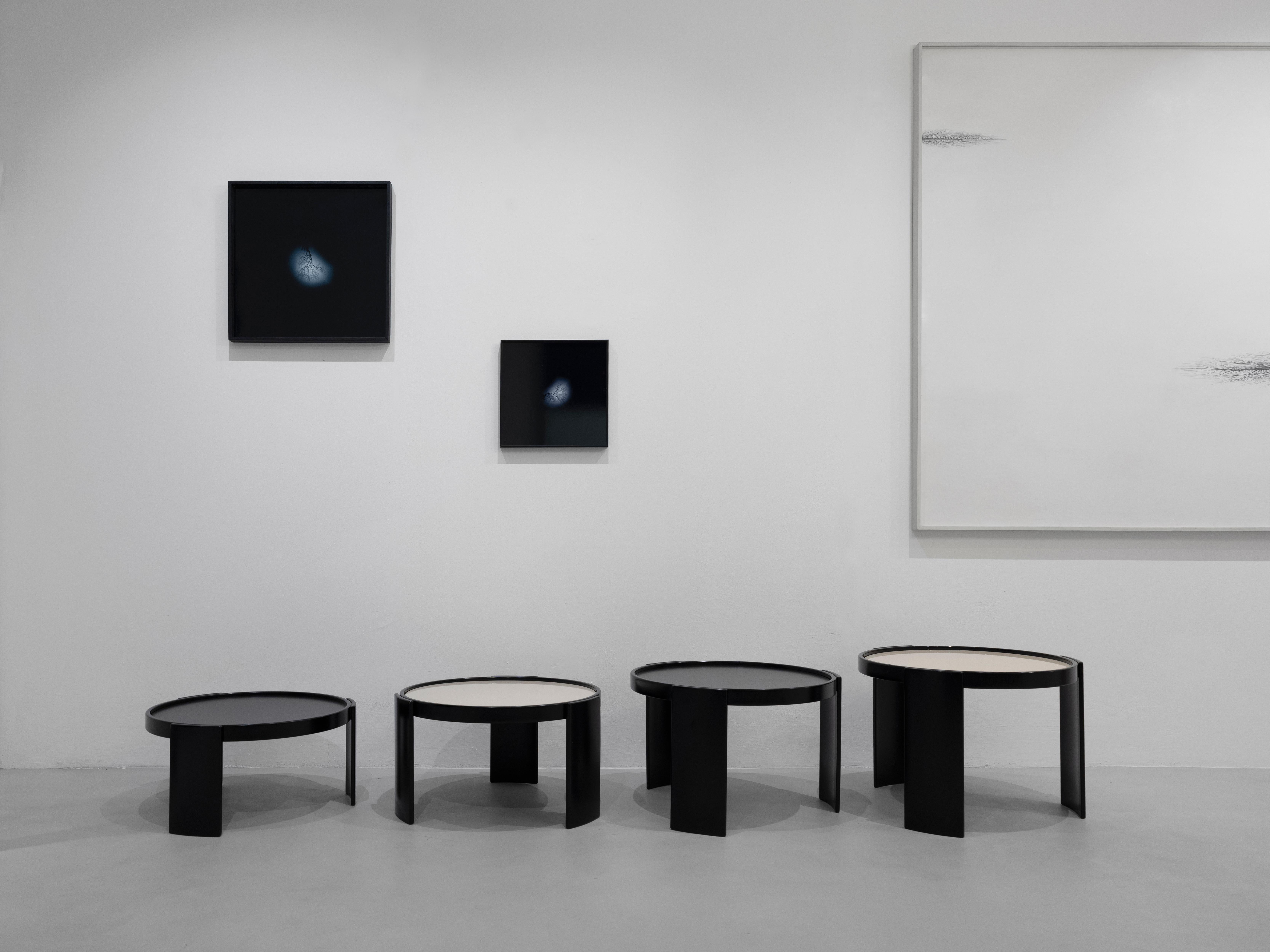 Andrea Santarlasci Umkehrung des Himmels 2002 (Italian) im Angebot