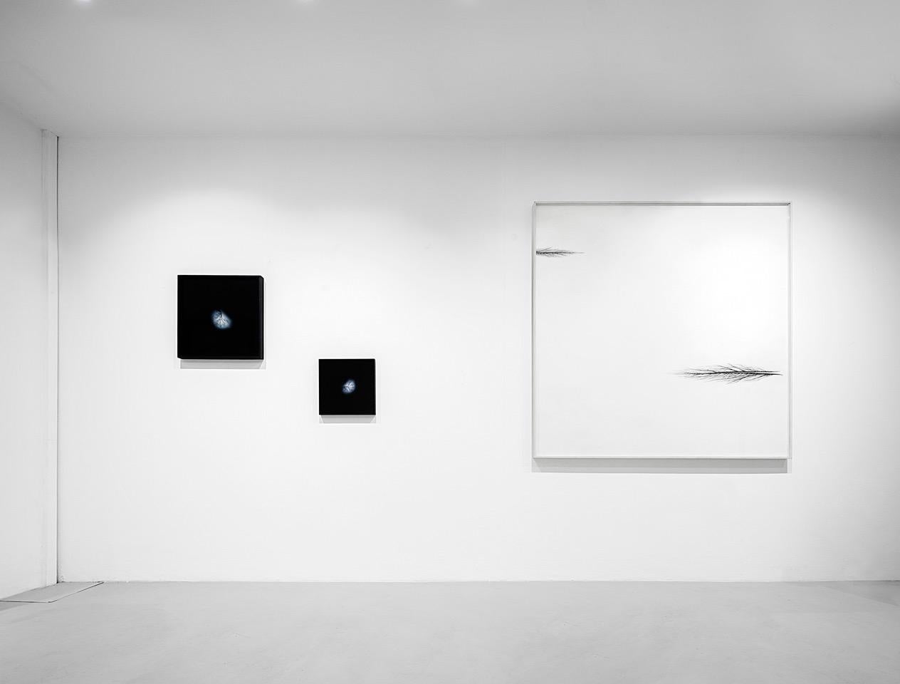 Andrea Santarlasci Umkehrung des Himmels 2002 im Zustand „Hervorragend“ im Angebot in Montecatini Terme, IT