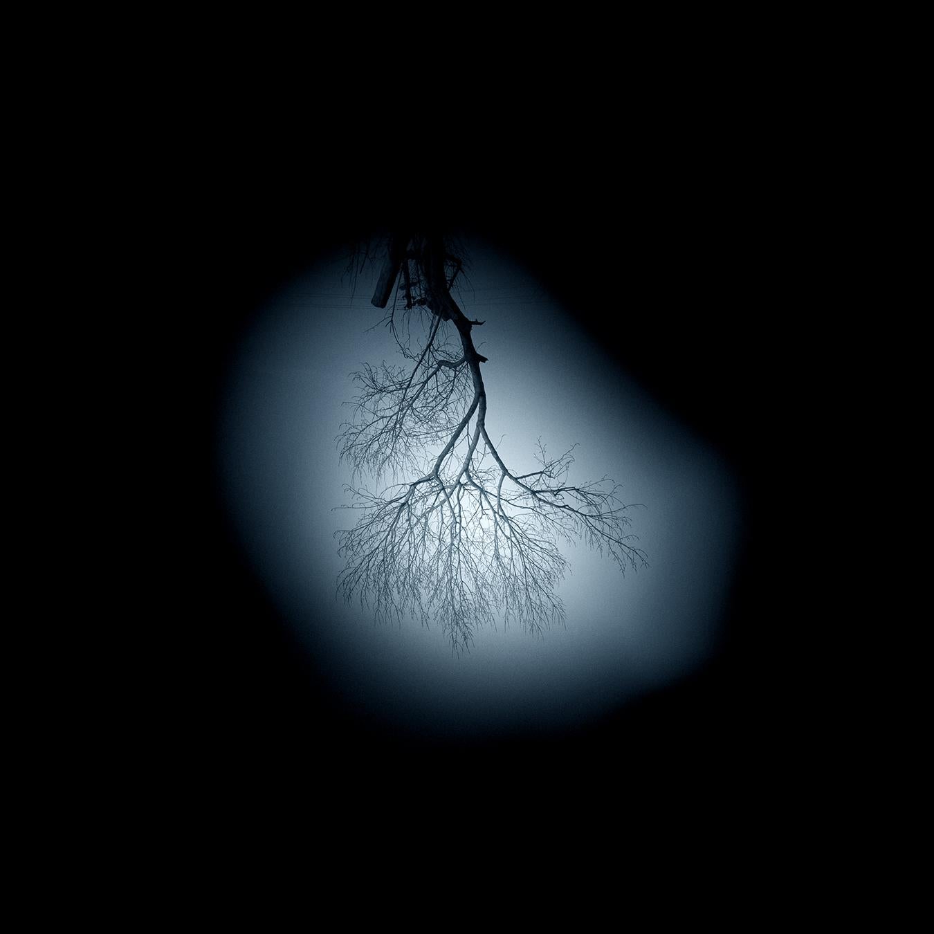 Andrea Santarlasci Umkehrung des Himmels 2002 (Zeitgenössisch) im Angebot