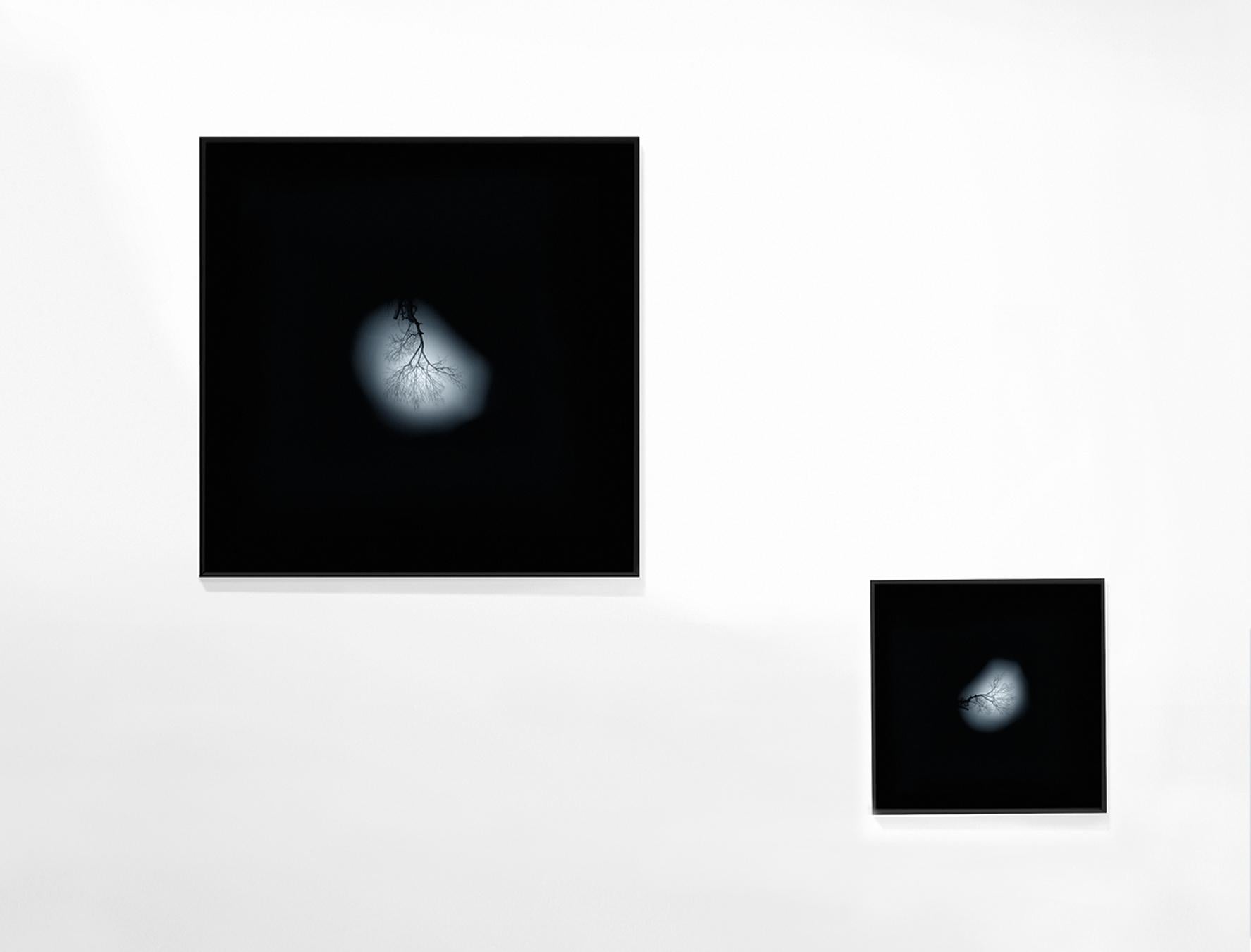 Andrea Santarlasci Umkehrung des Himmels 2002 (Papier) im Angebot