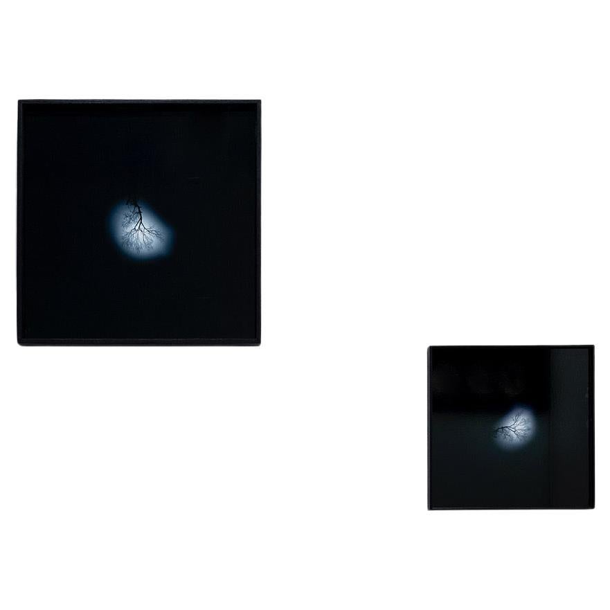 Andrea Santarlasci Umkehrung des Himmels 2002 im Angebot