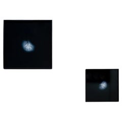 Andrea Santarlasci Umkehrung des Himmels 2002