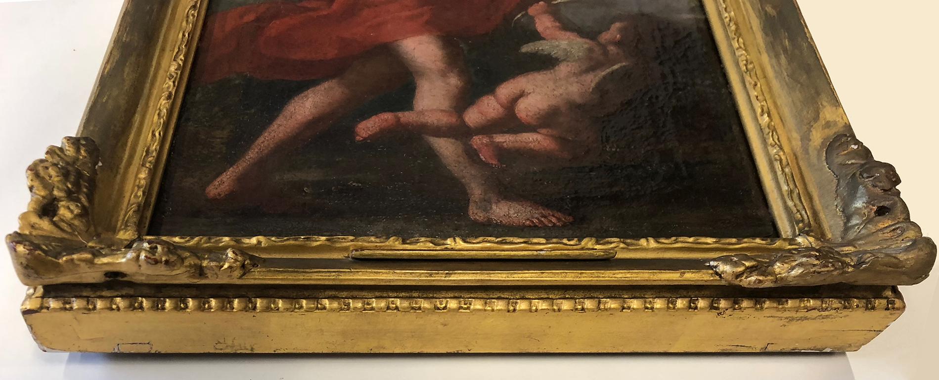 cupid apollo