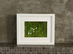 A Walk In The Grass, 8"x10", Artwork On Paper, Framed, Green, White Flowers