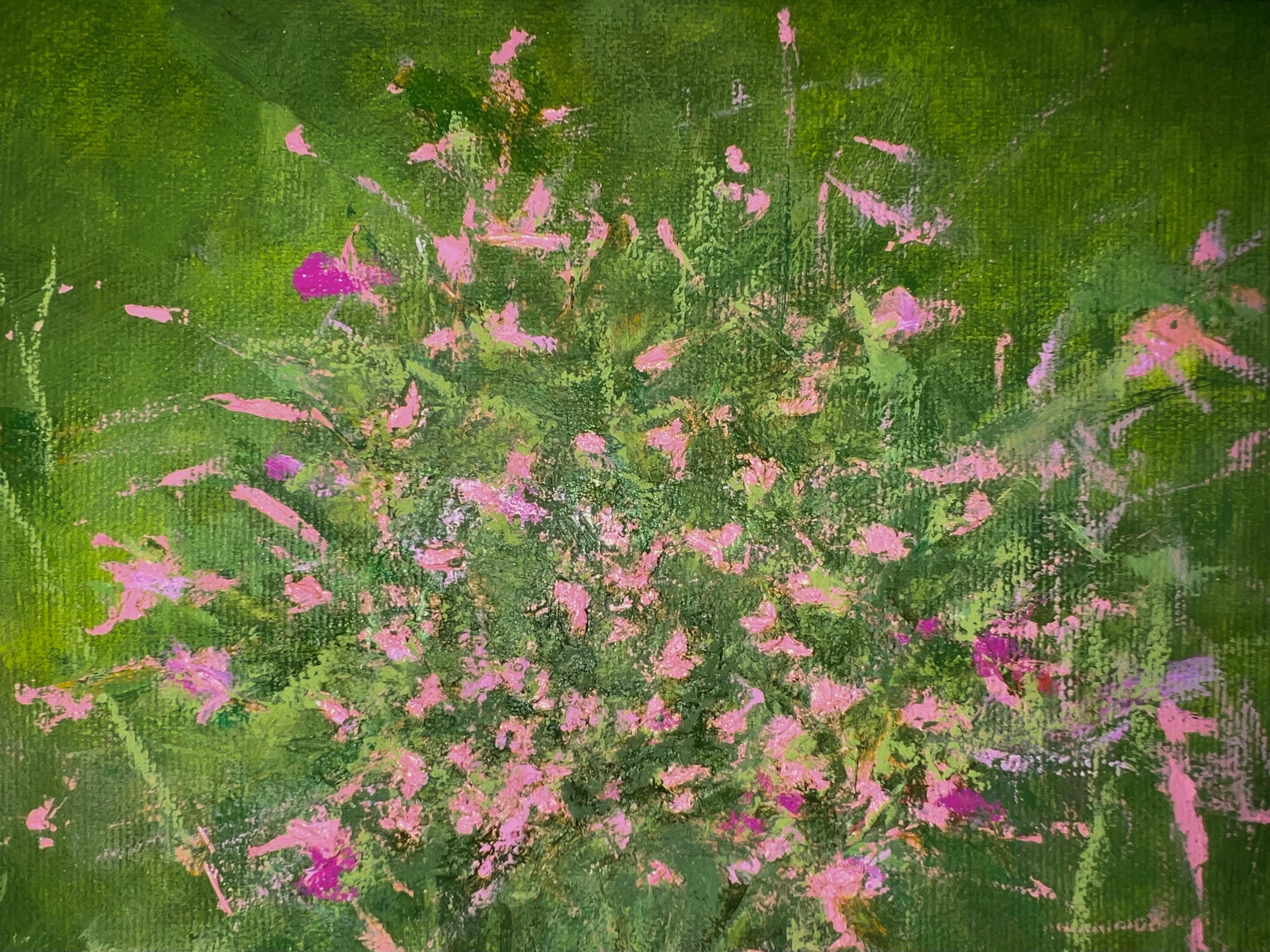 Sólo Rosa - 8 