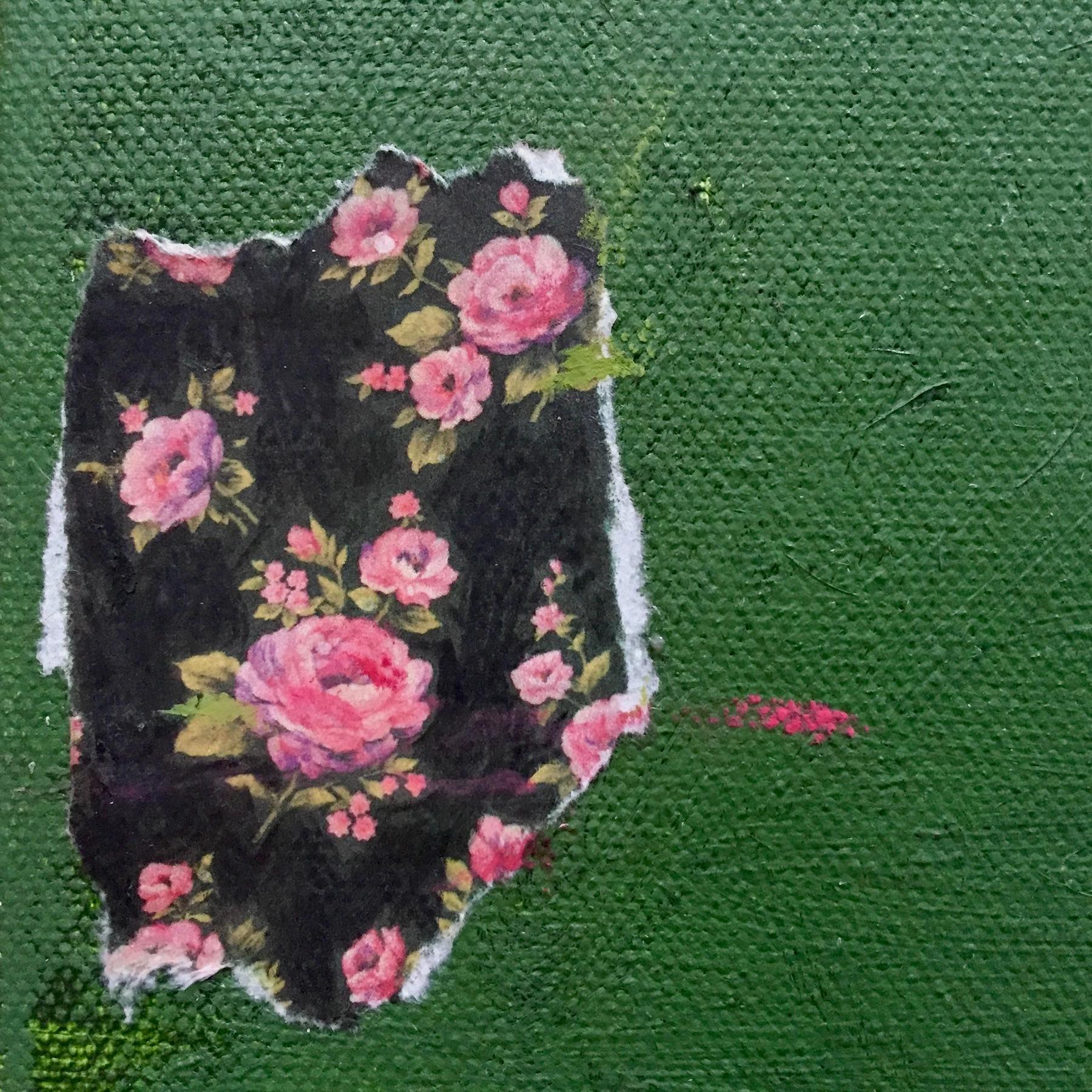 Wallflower - 5 