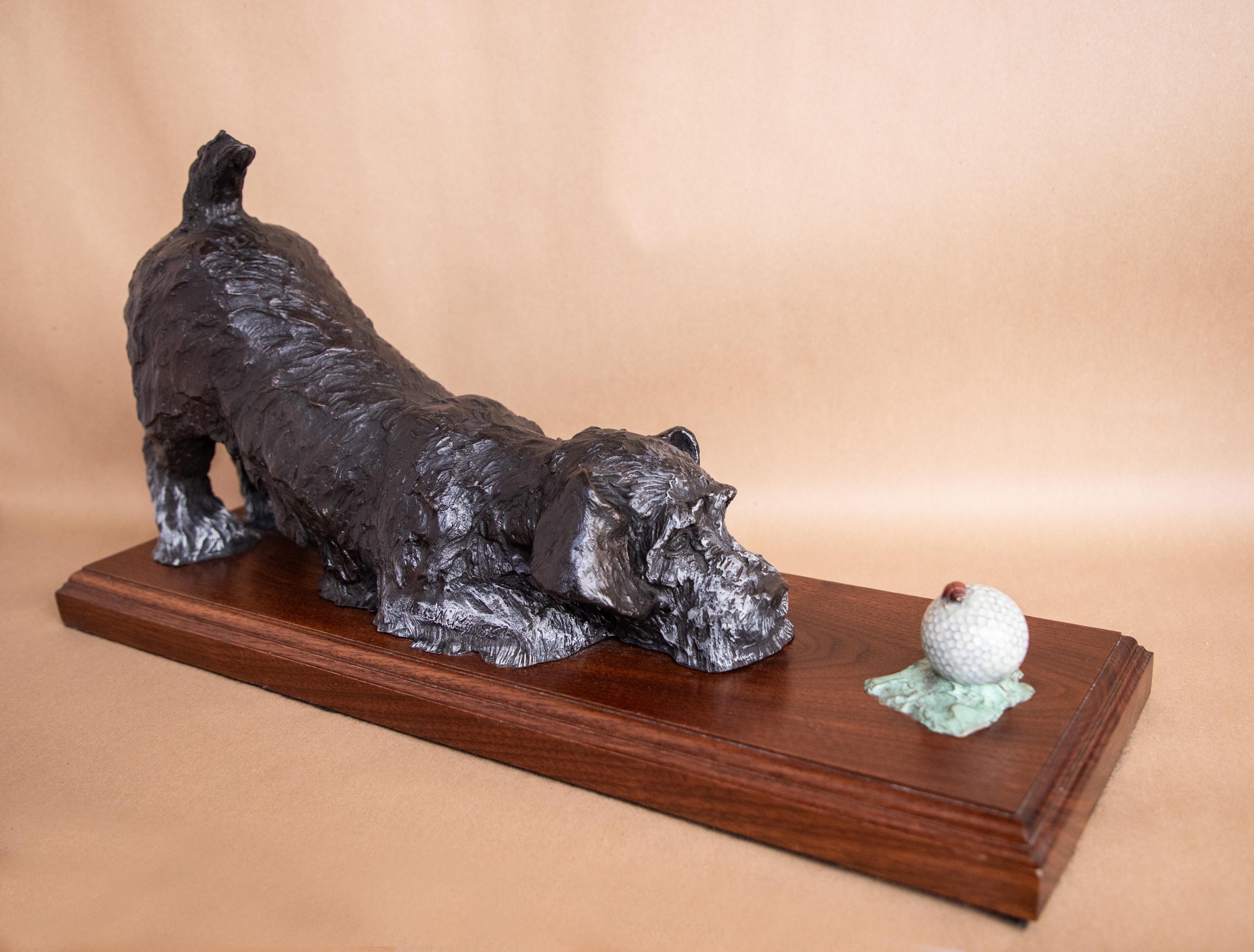 Golf Bug - Sculpture Realismo di Andrea Wilkinson