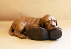 Hora de la siesta (Cachorro sobre una bota)