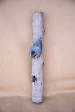 Red-Breasted Nuthatch