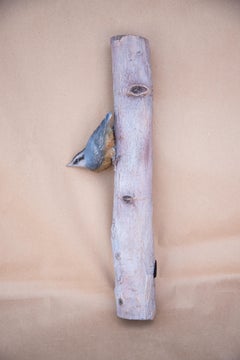 Red-Breasted Nuthatch