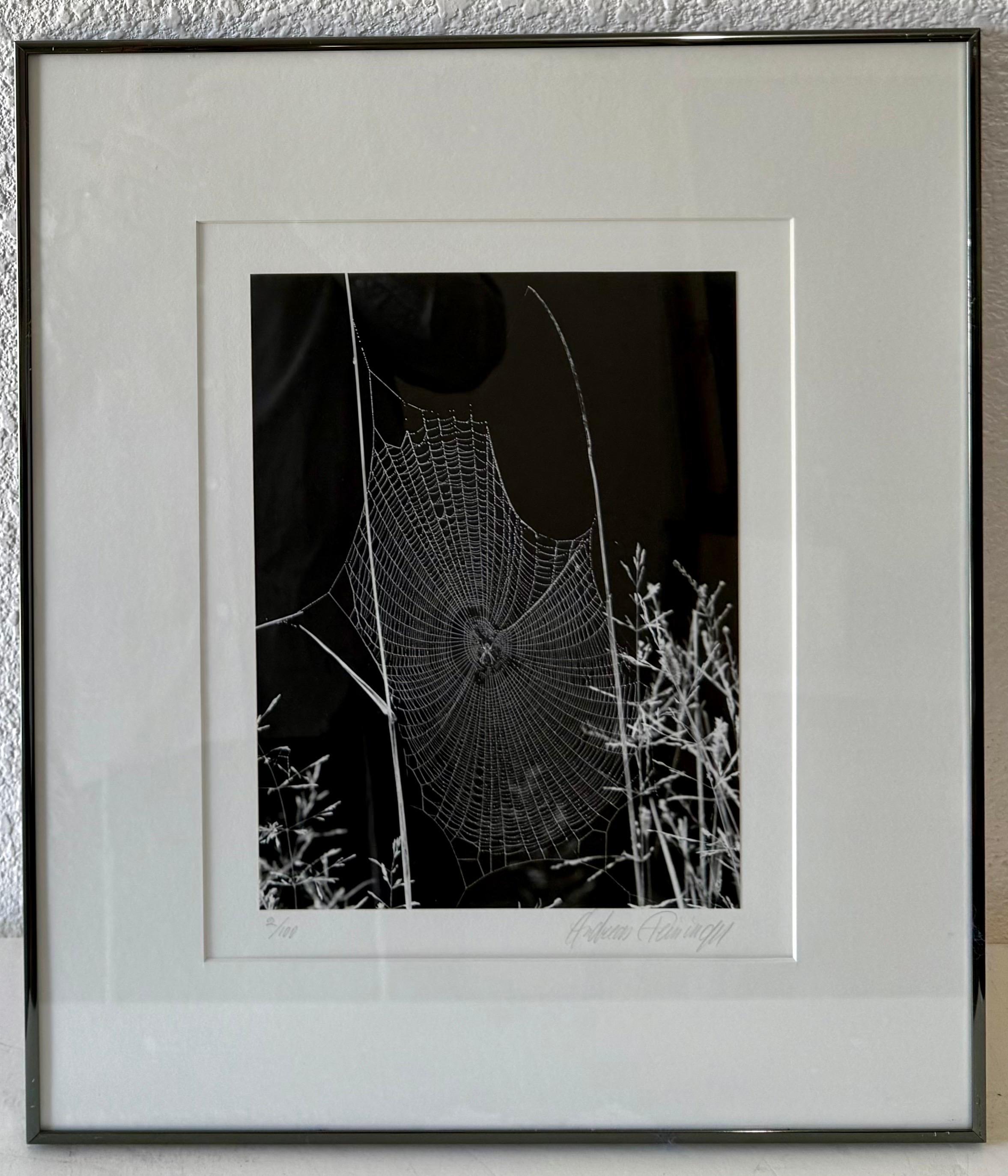 Le photographe américain Andreas Feininger Tirage gélatino-argentique vintage en vente 9