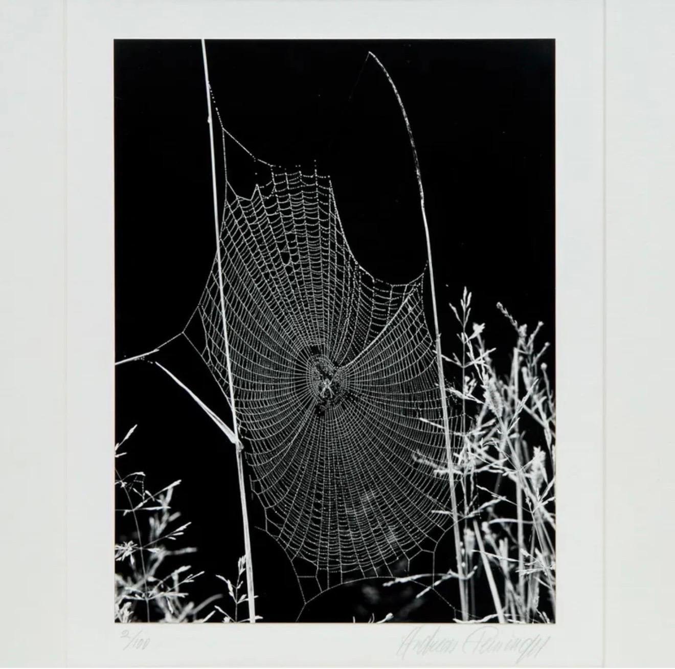 Le photographe américain Andreas Feininger Tirage gélatino-argentique vintage en vente 11