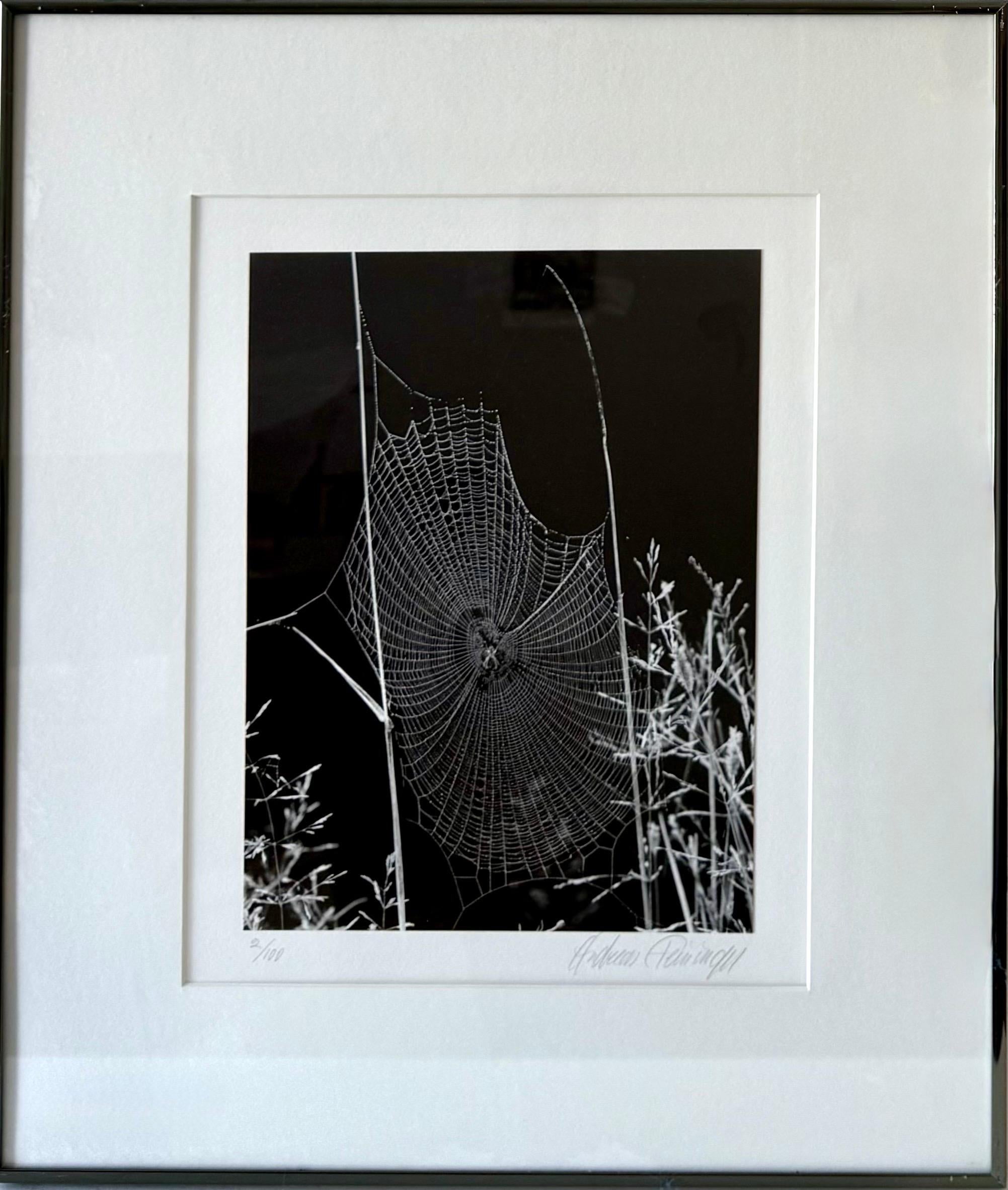 Le photographe américain Andreas Feininger Tirage gélatino-argentique vintage en vente 1