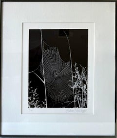 Silber-Gelatine-Vintage-Druck des amerikanischen Fotografen Andreas Feininger