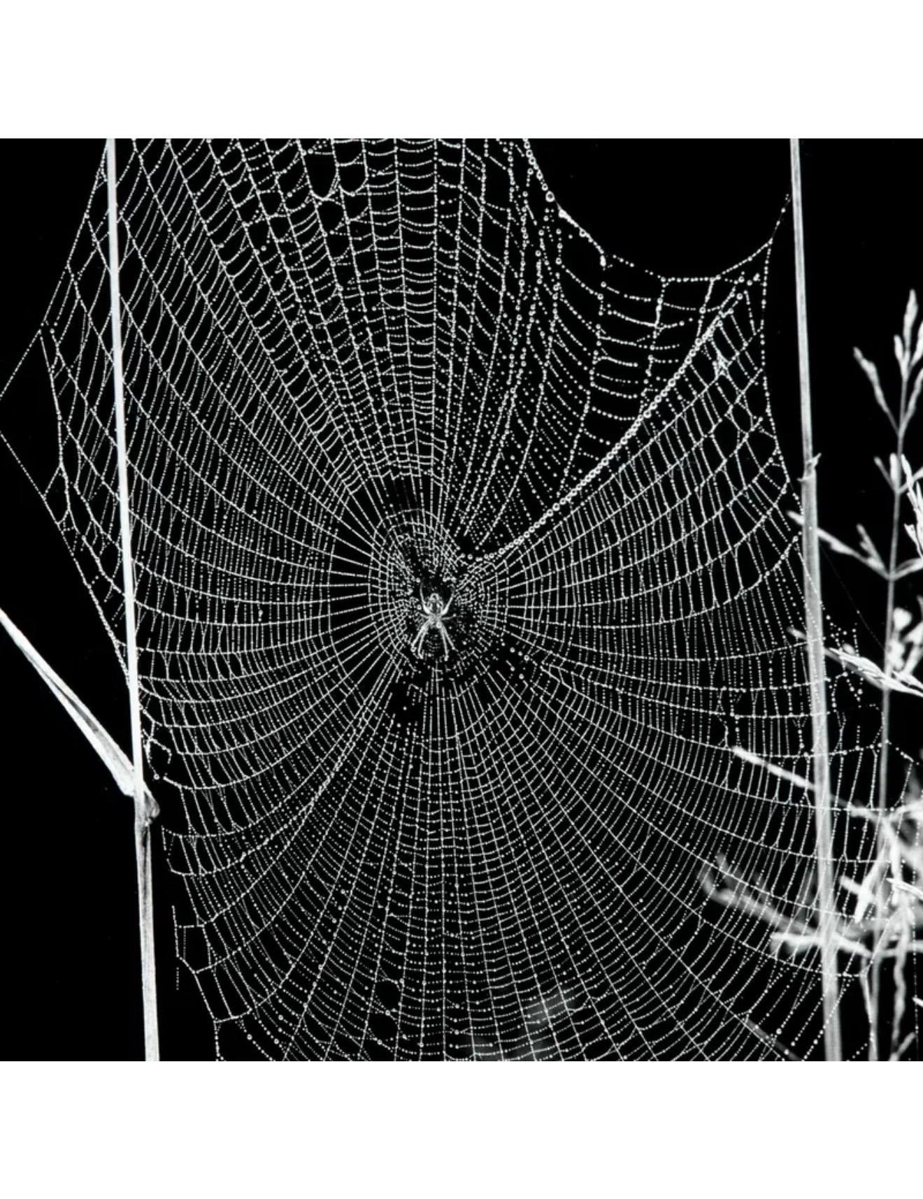Le photographe américain Andreas Feininger Tirage gélatino-argentique vintage en vente 2