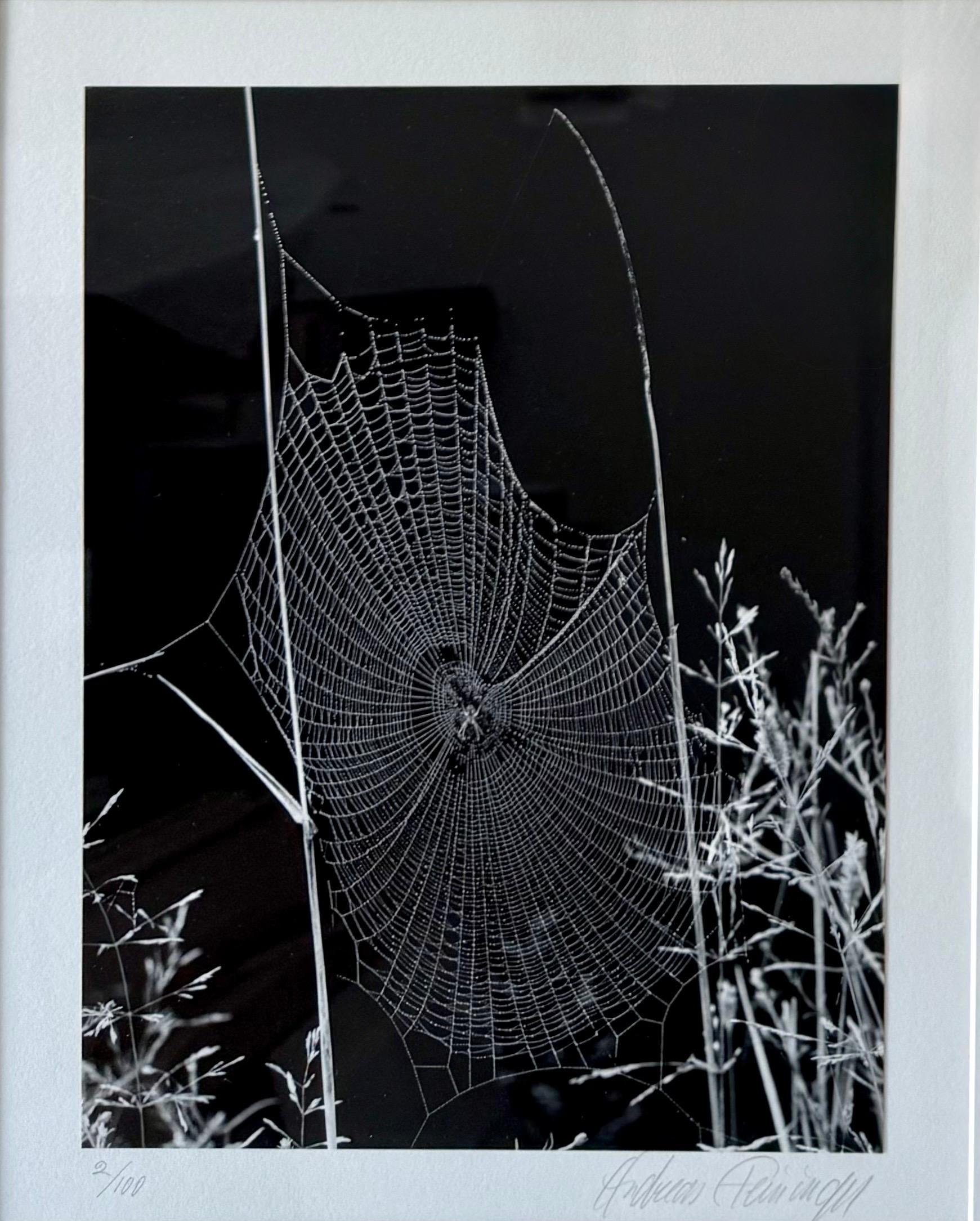 Le photographe américain Andreas Feininger Tirage gélatino-argentique vintage en vente 3