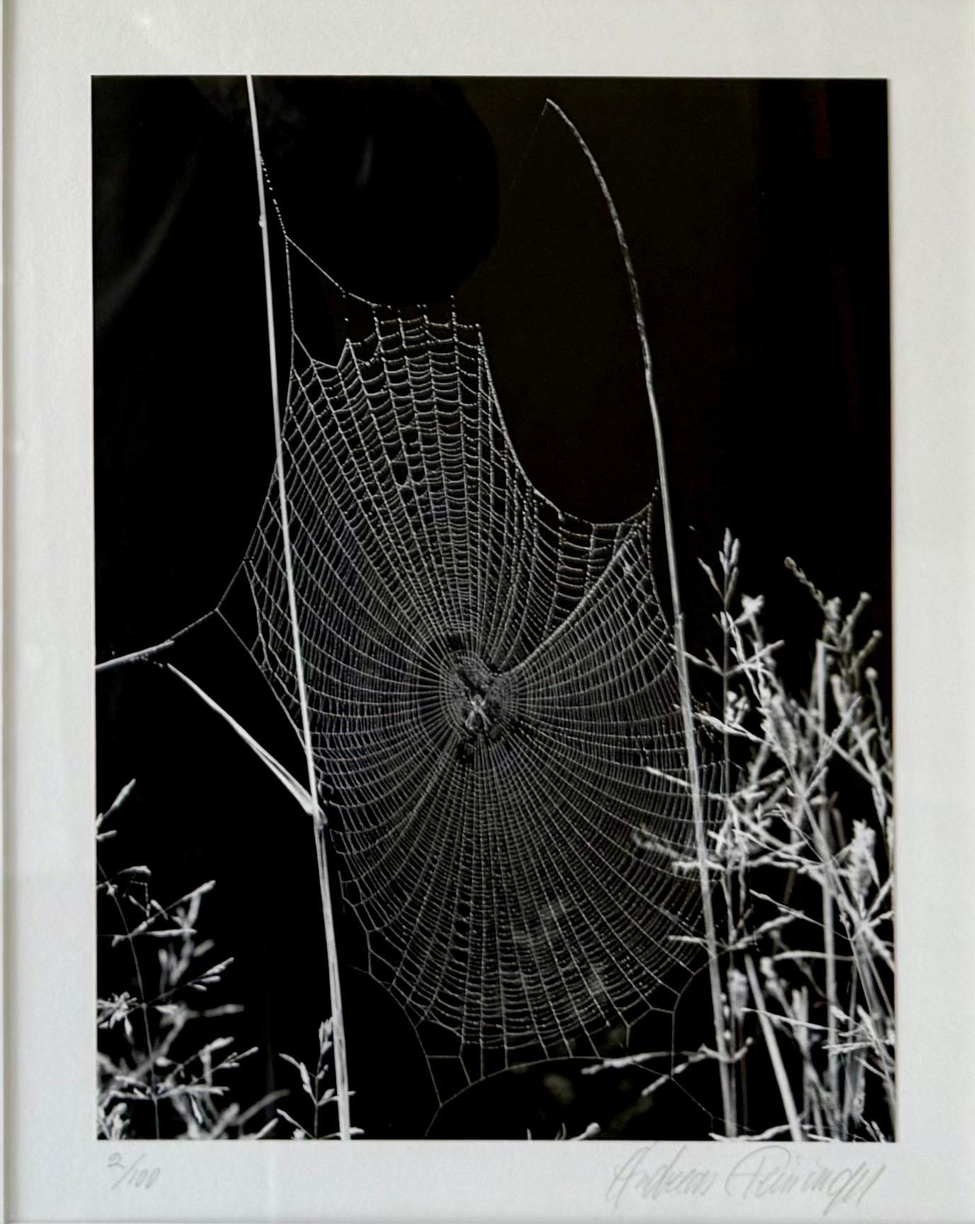 Le photographe américain Andreas Feininger Tirage gélatino-argentique vintage en vente 5