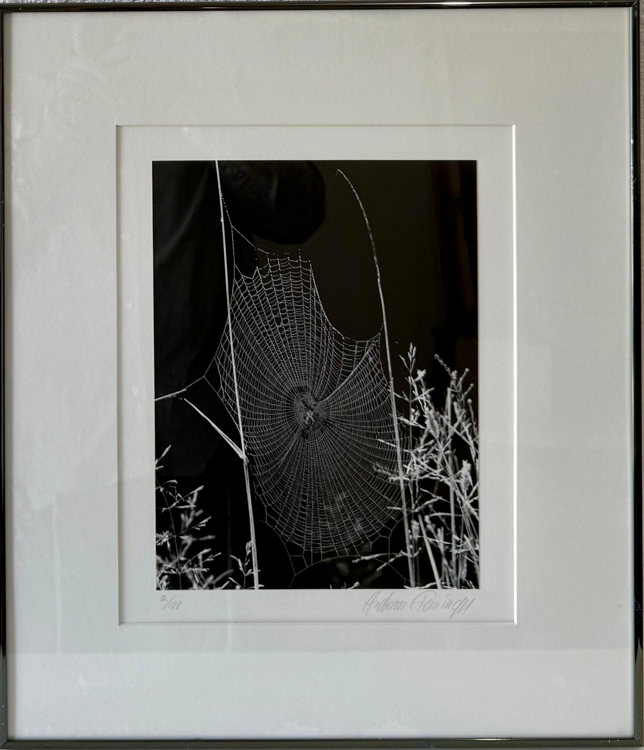 Le photographe américain Andreas Feininger Tirage gélatino-argentique vintage en vente 6