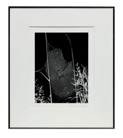 Fotógrafo estadounidense Andreas Feininger Gelatina de plata Impresión de época