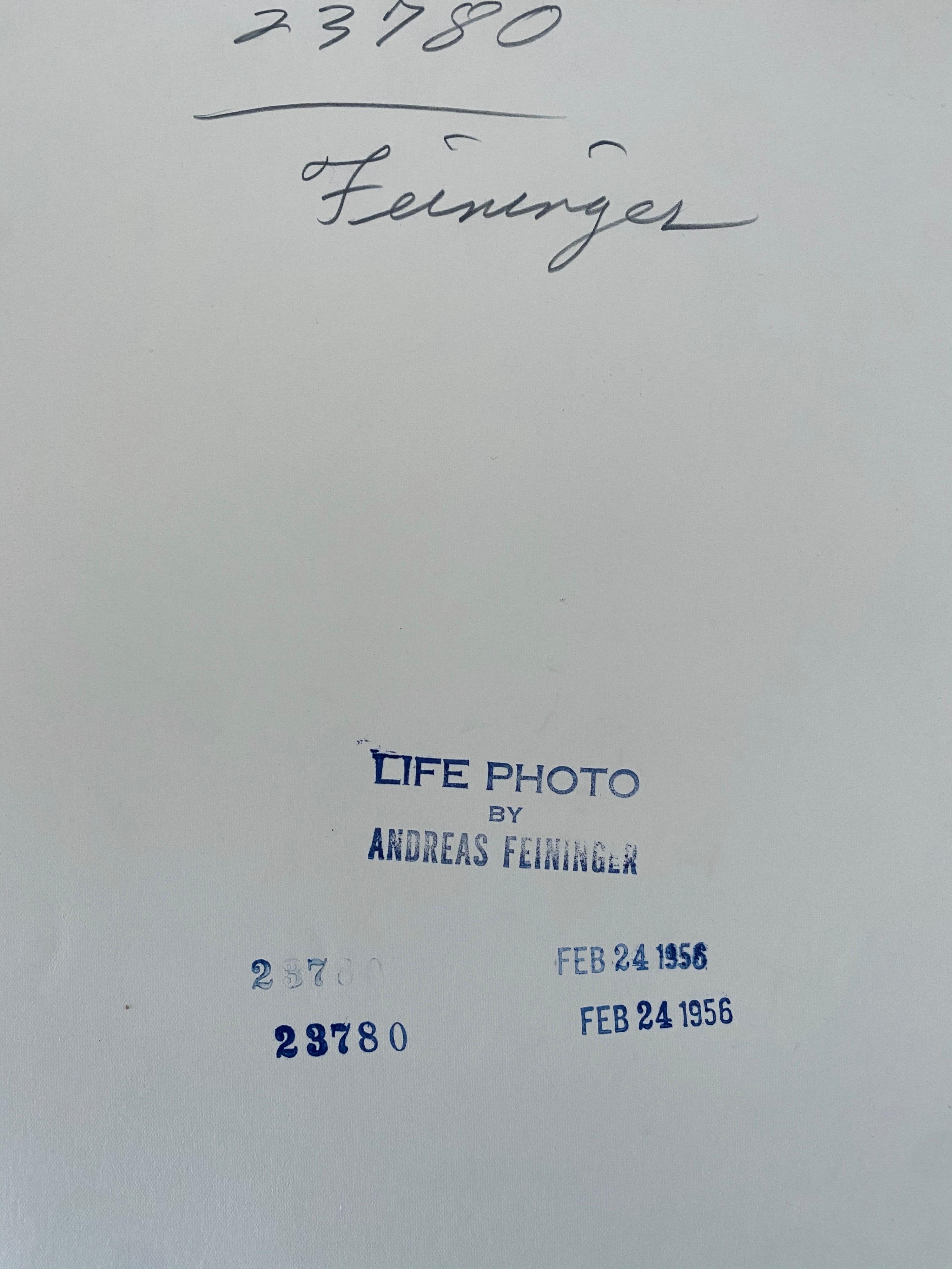 Photographe américain Landscape Silver Gelatin Vintage Print en vente 2