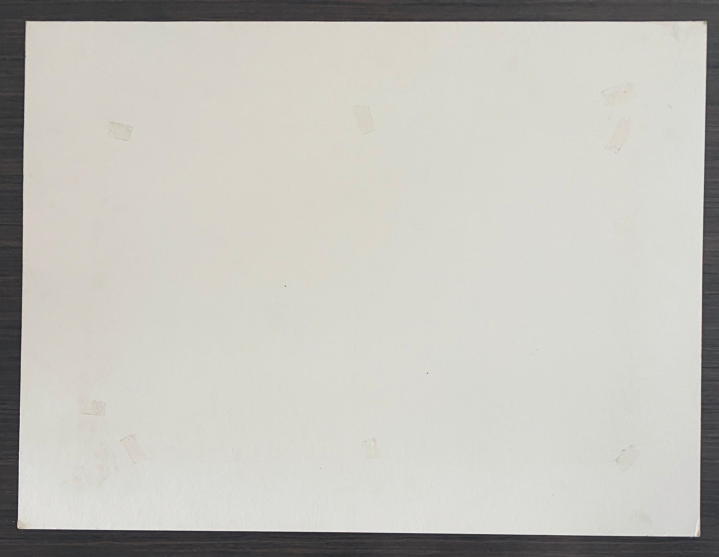 Photographe américain Landscape Silver Gelatin Vintage Print en vente 4