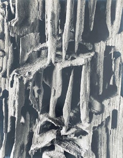 American Photographer Nature Silver Gelatin Vintage Print