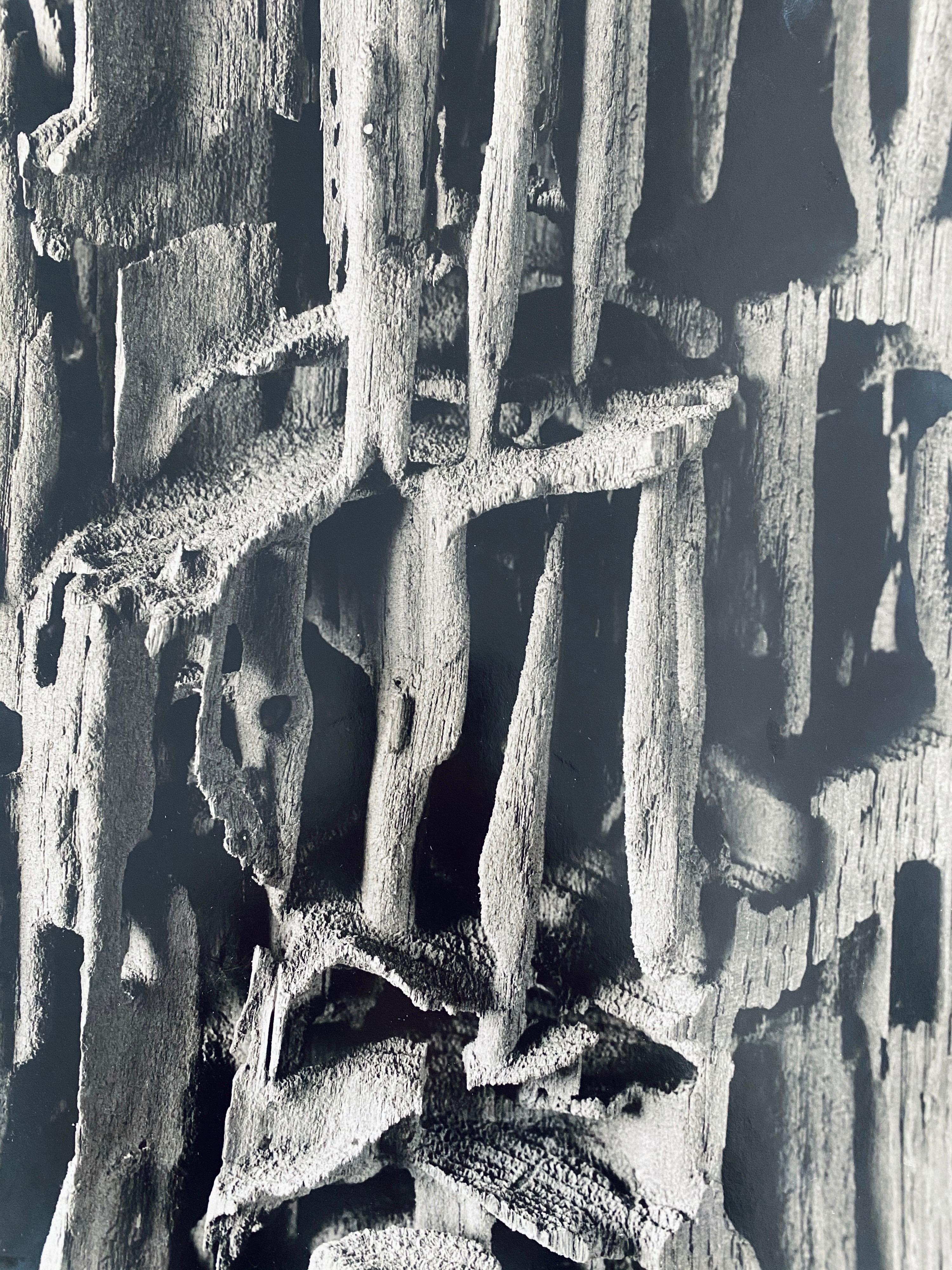 Andreas Bernhard Lyonel Feininger (27. Dezember 1906 - 18. Februar 1999) war ein amerikanischer Fotograf und Autor über fotografische Technik. Er war bekannt für seine dynamischen Schwarz-Weiß-Szenen von Manhattan und für seine Studien der