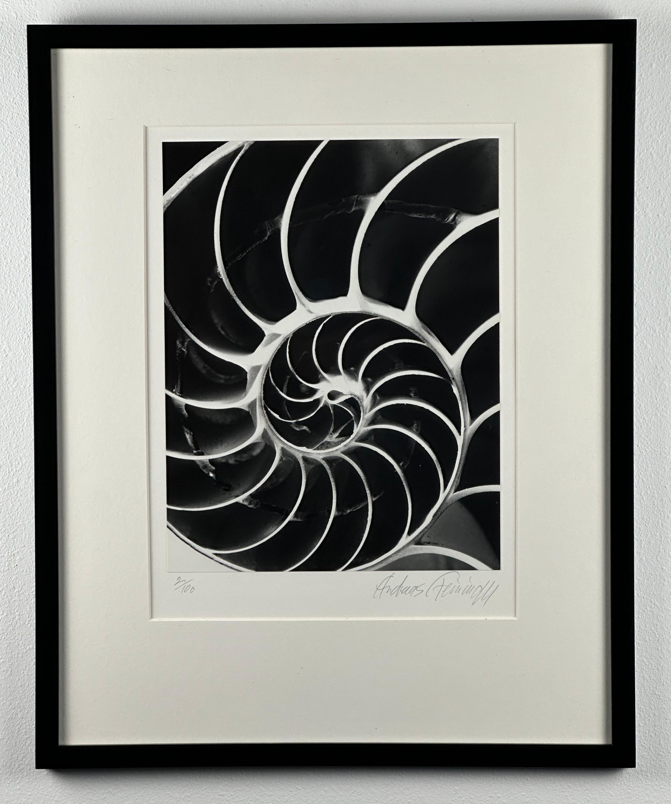 Andreas Feininger (1906-1999). Da 