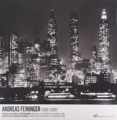 Horizonte de Nueva York de noche - Cartel offset, 2008