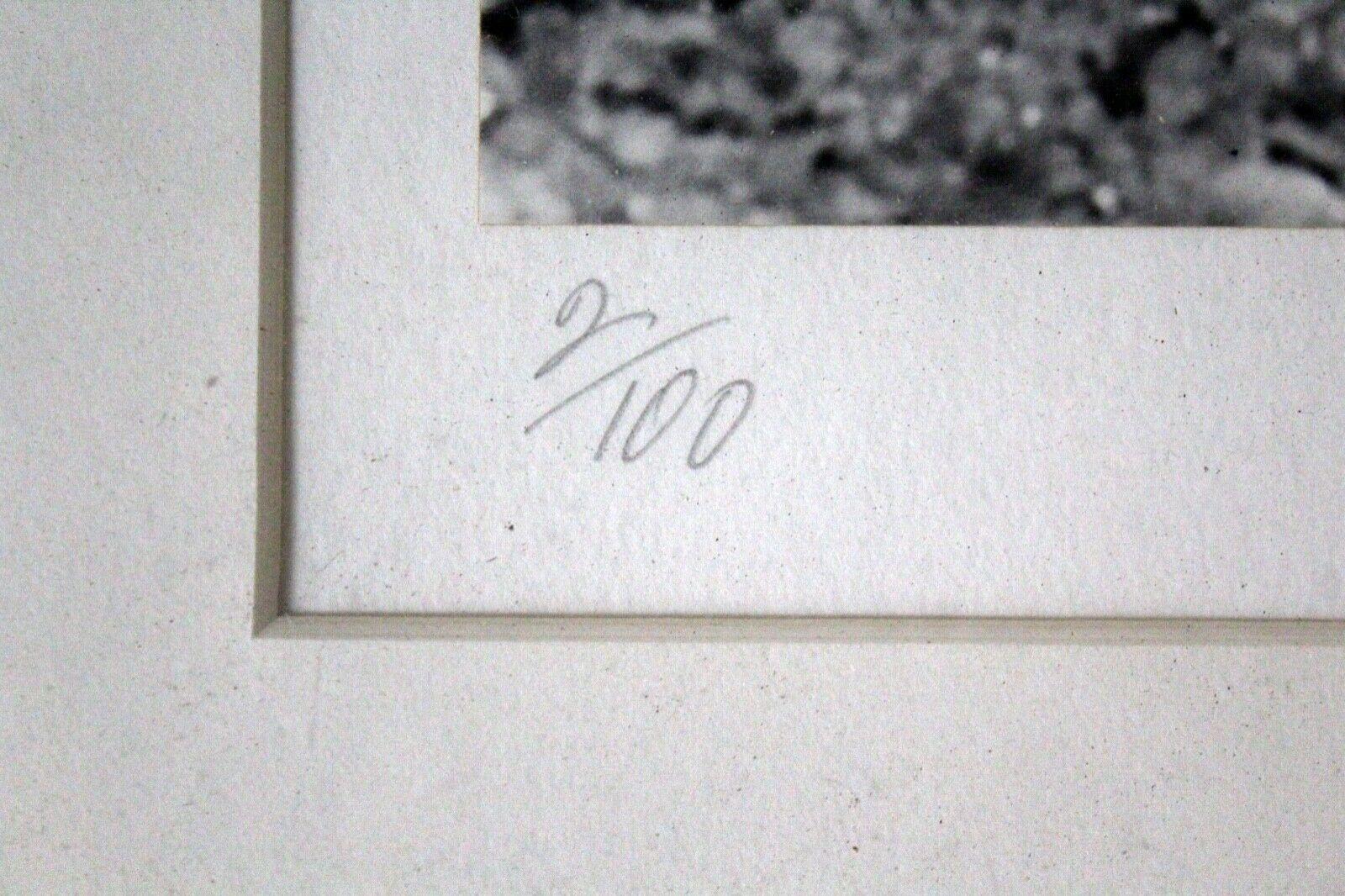 Andreas Feininger Shell Series Signed Set of 9 Gelatin Silver Print 2/100 Framed 7