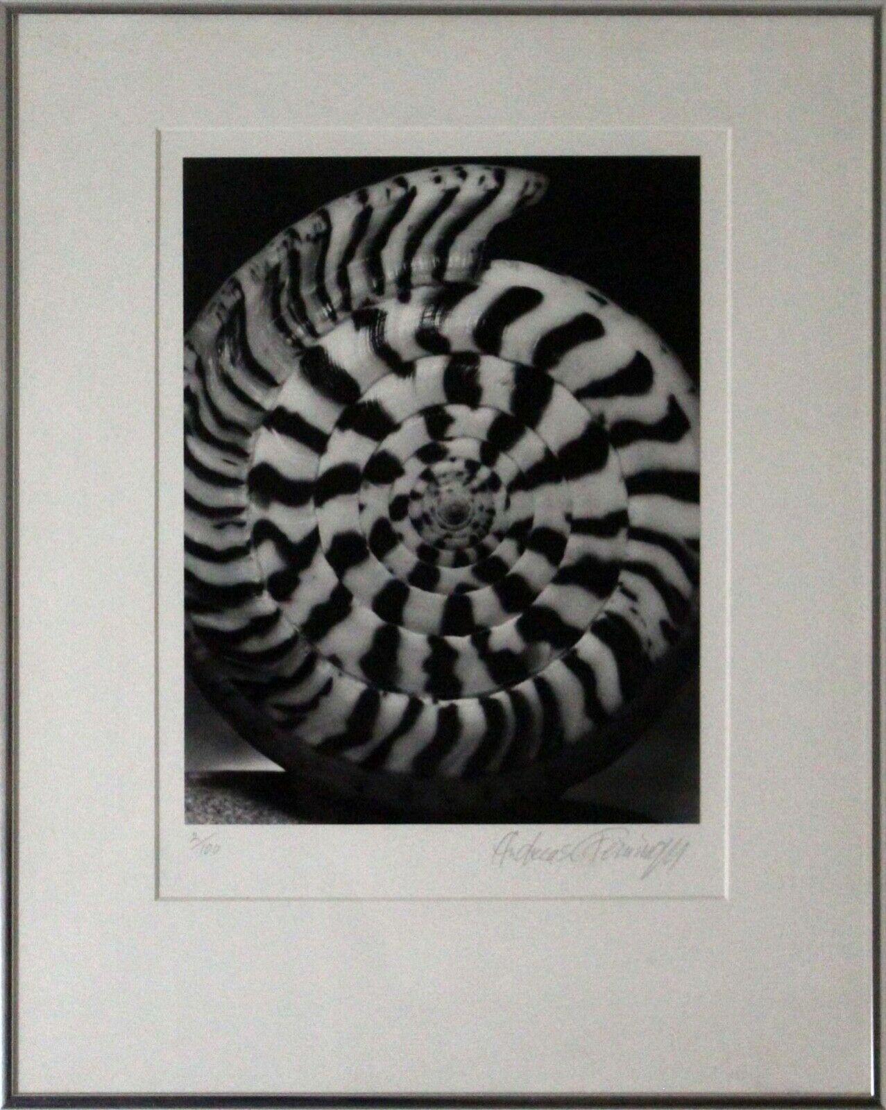 Le Shoppe Too in Michigan is offering this dynamic set of 9 black-and-white gelatin silver prints by American photographer Andreas Feininger. Each print is signed by the artist in pencil on the bottom right with a matching annotation of 2/100 on the