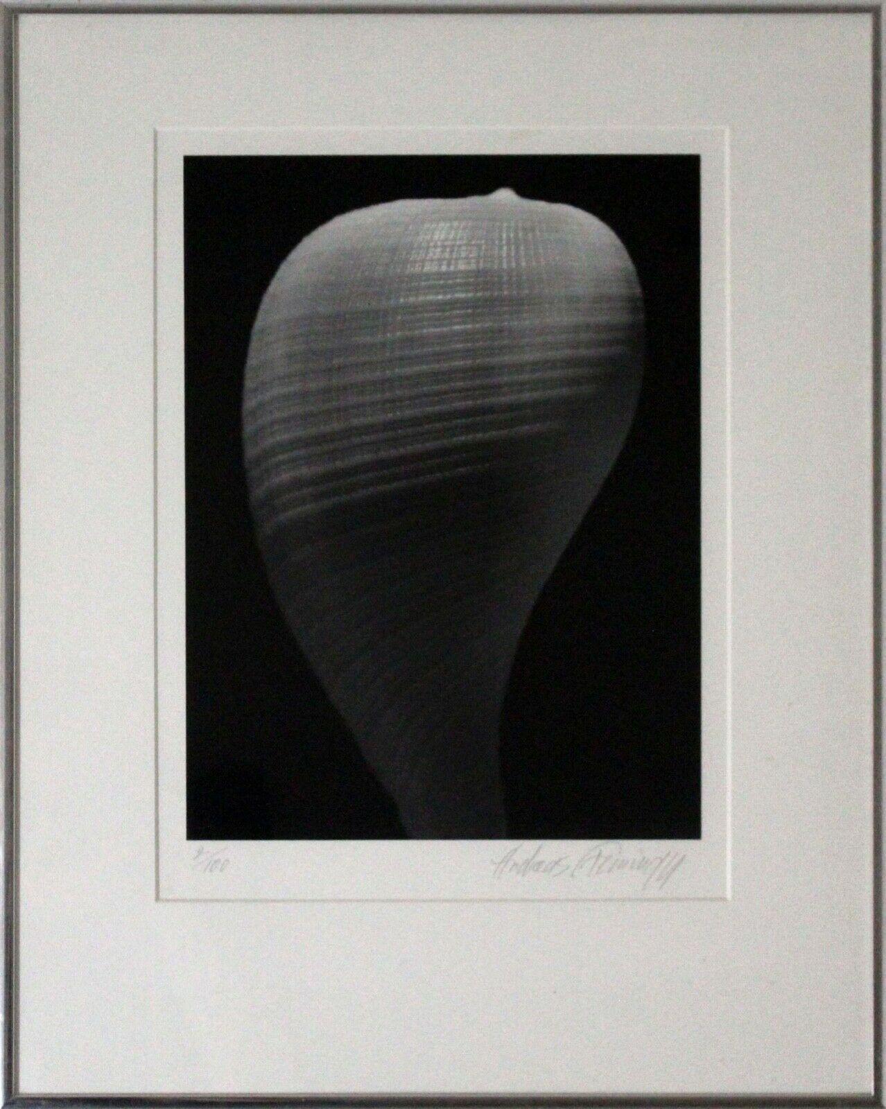 Andreas Feininger Shell Series Signed Set of 9 Gelatin Silver Print 2/100 Framed 1