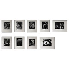 Vintage Andreas Feininger Shell Series Signed Set of 9 Gelatin Silver Print 2/100 Framed